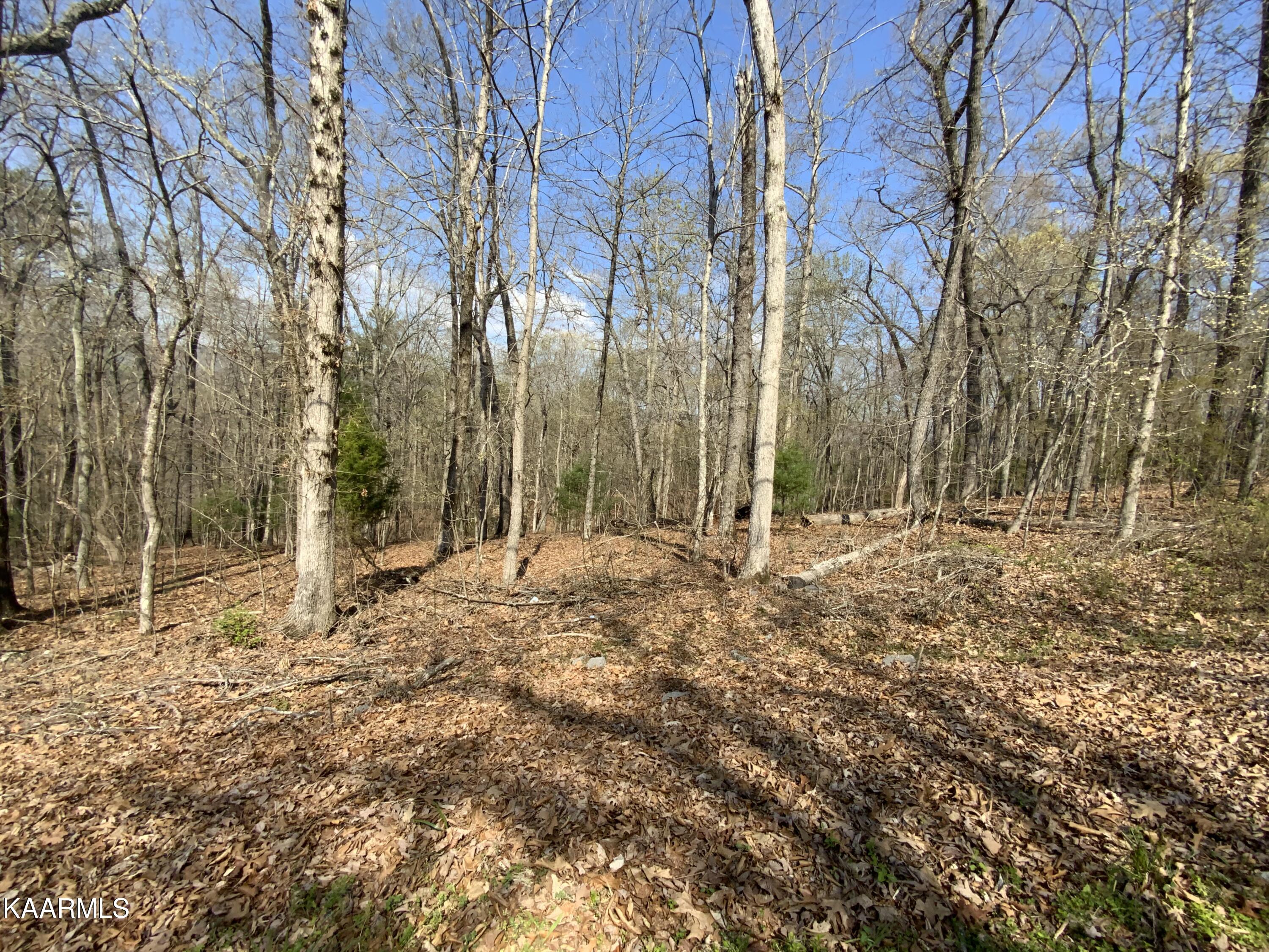 Rendezvous Road Lot # 21 Property Photo 2