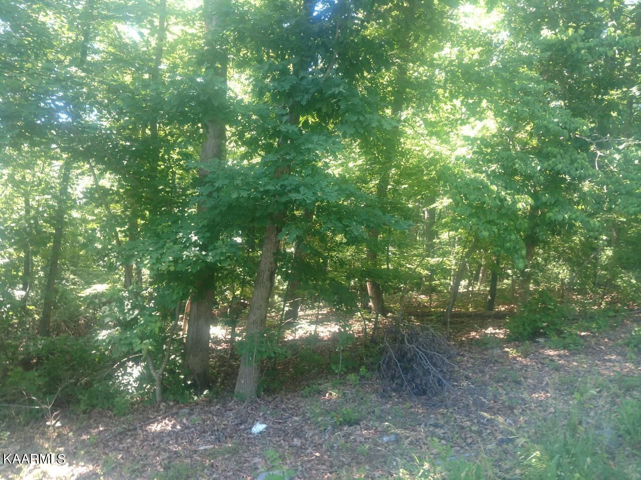 Rendezvous Road Lot # 21 Property Photo 3