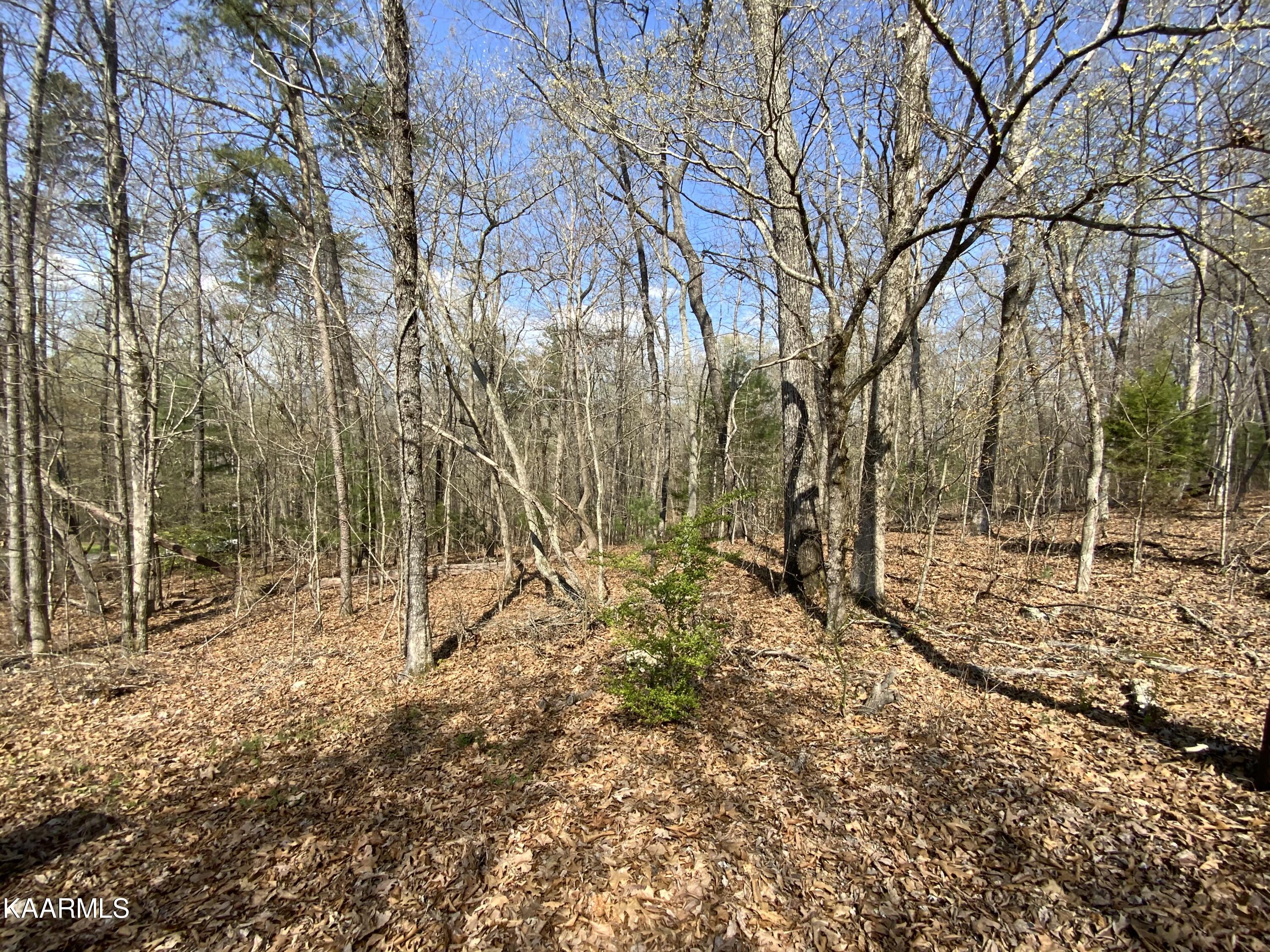 Rendezvous Road Lot # 21 Property Photo 4