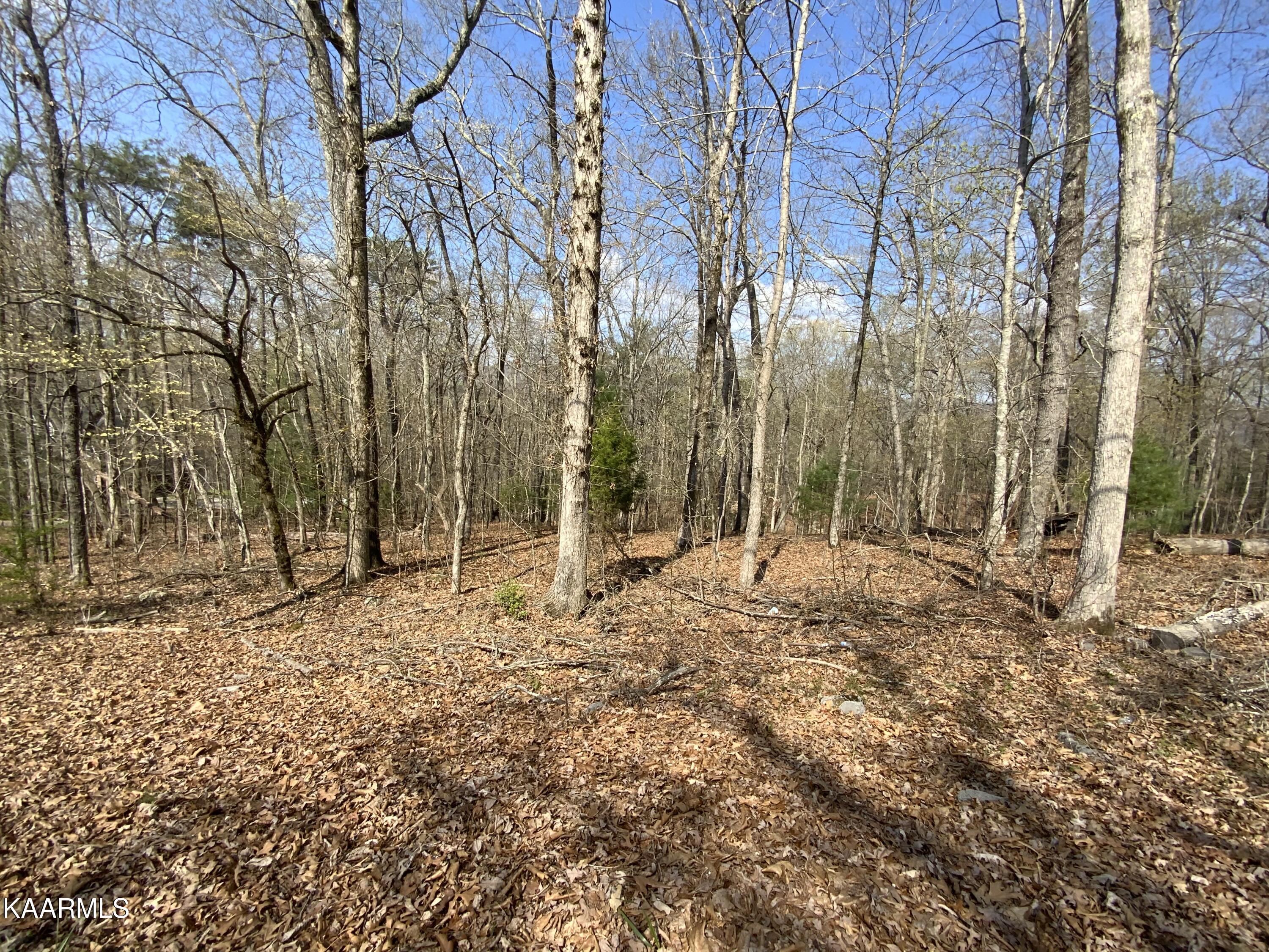 Rendezvous Road Lot # 21 Property Photo 5
