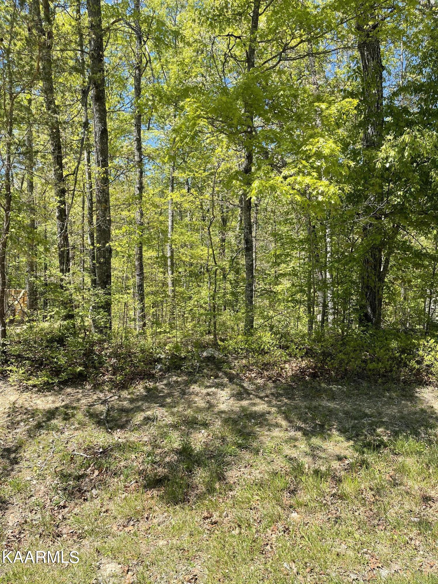 137 Shelley Lane Property Photo