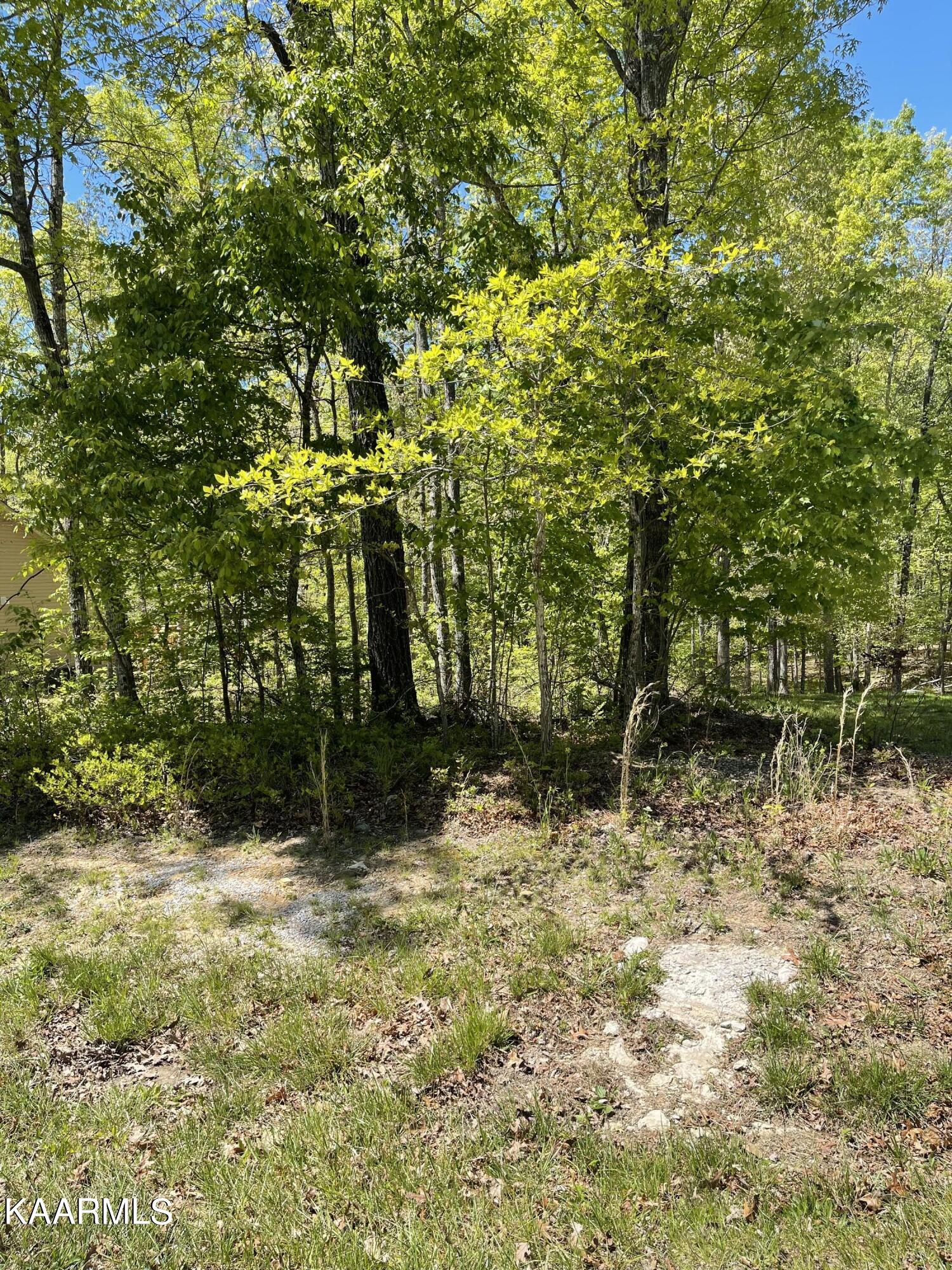 137 Shelley Lane Property Photo 2