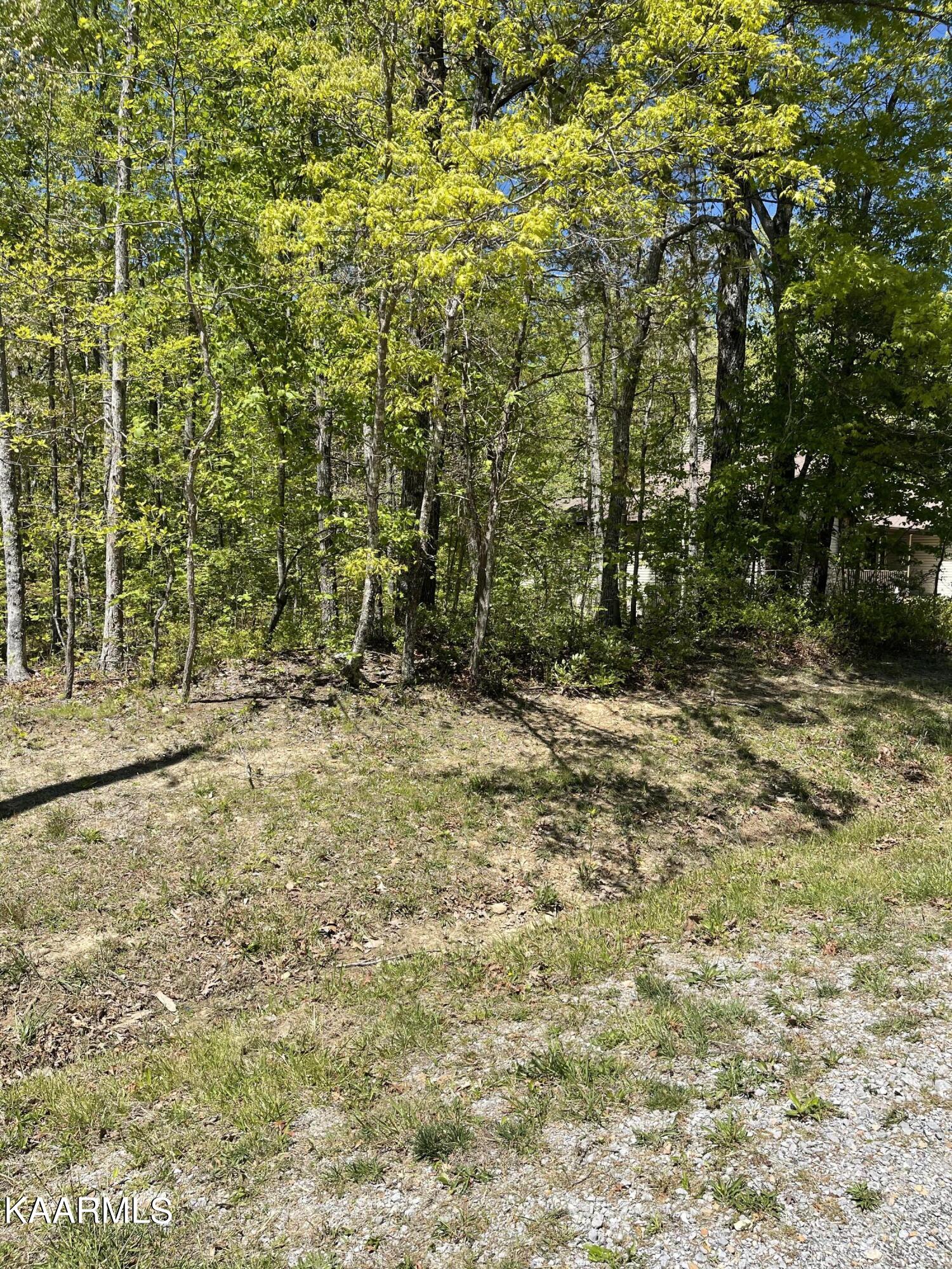 137 Shelley Lane Property Photo 3