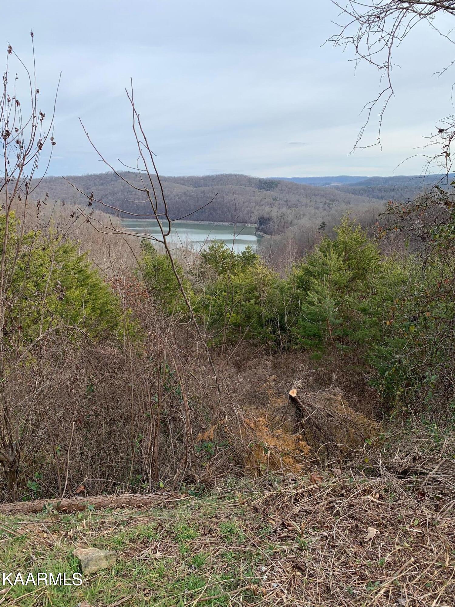Lot 590 Whistle Valley Rd Property Photo