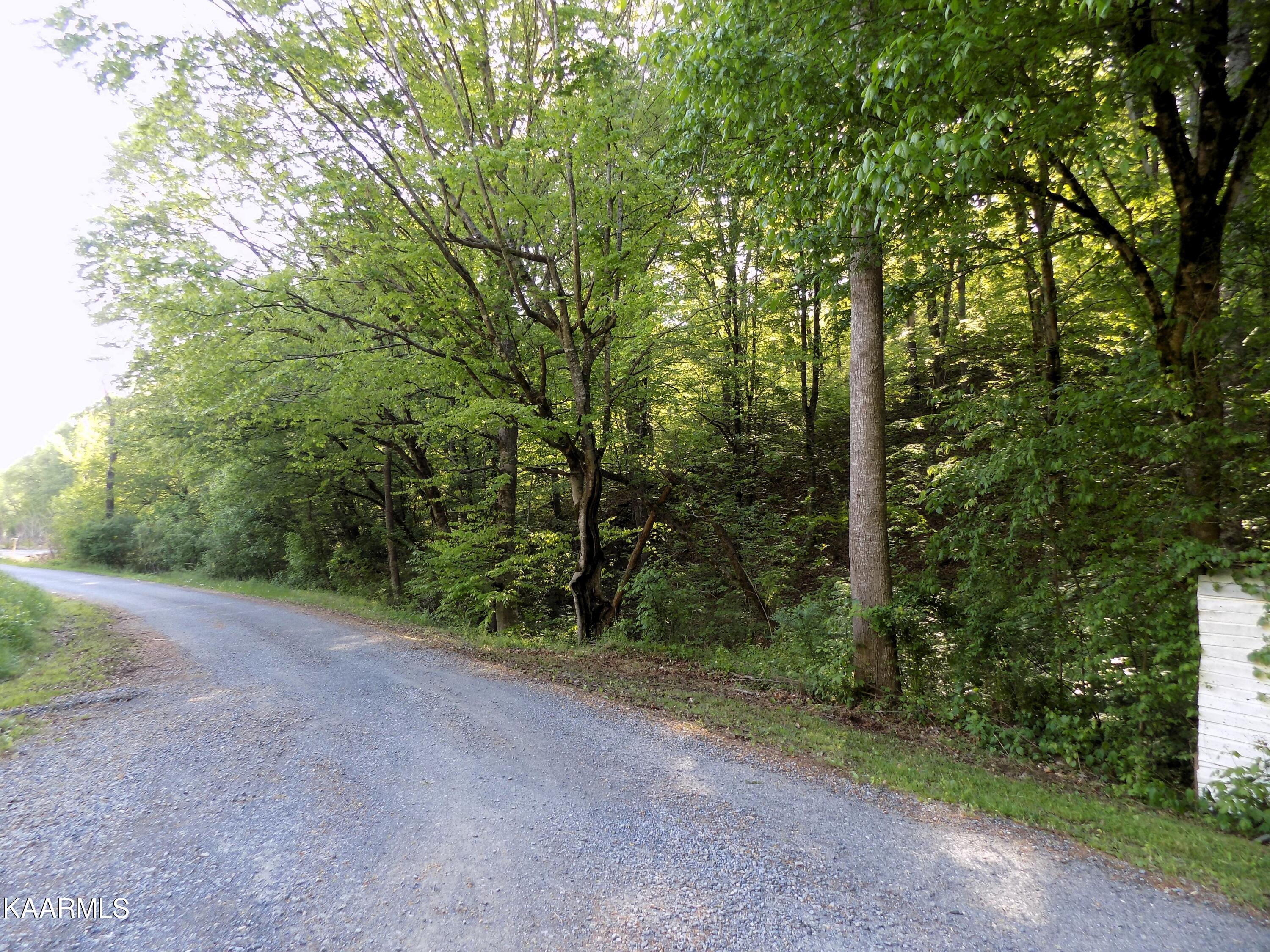 Par 023.04 Driftwood Rd Property Photo