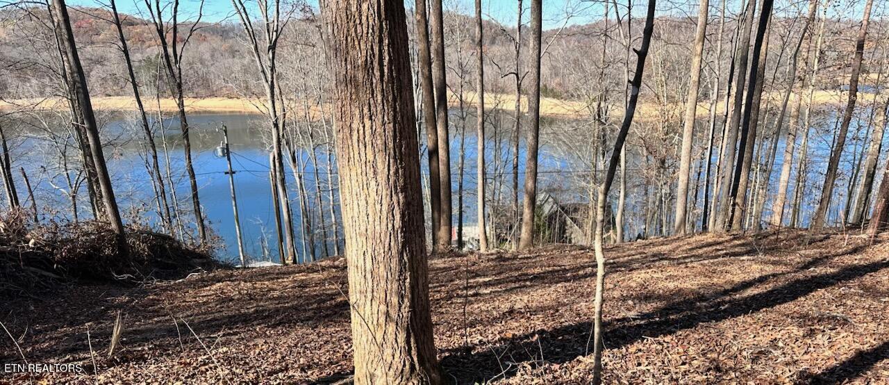 Lot E-2 Hagaman Lane Property Photo 23
