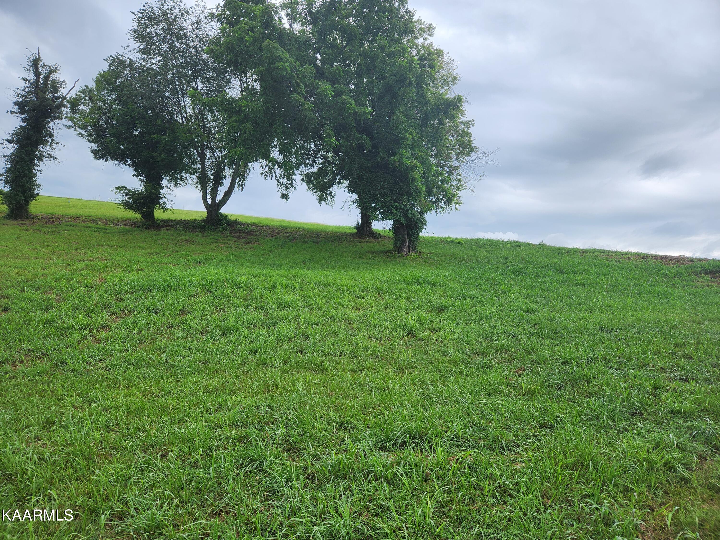 2257 Windswept Way Property Photo 3