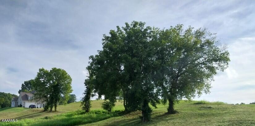 2257 Windswept Way Property Photo 8