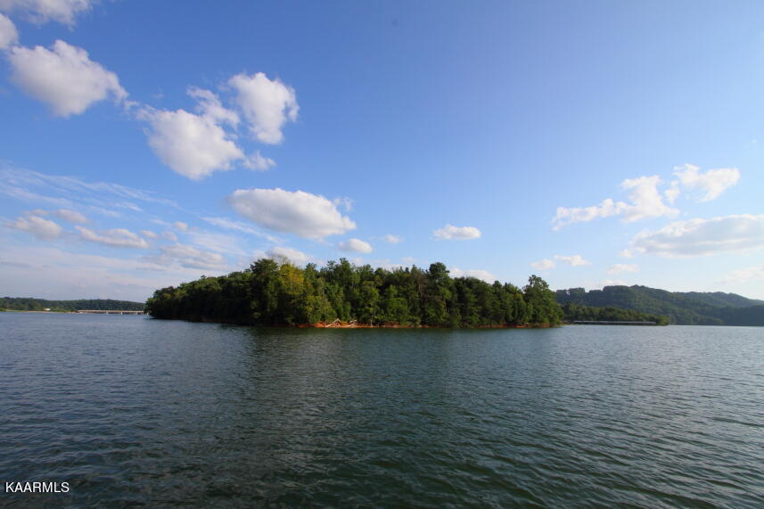 2257 Windswept Way Property Photo 9