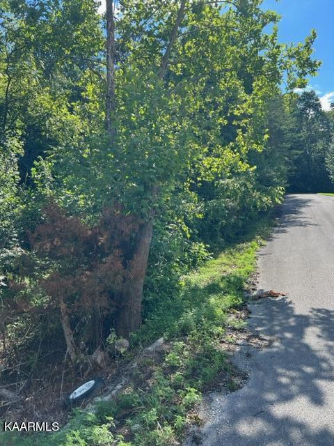 0 Forest Meadow Lane Property Photo 1