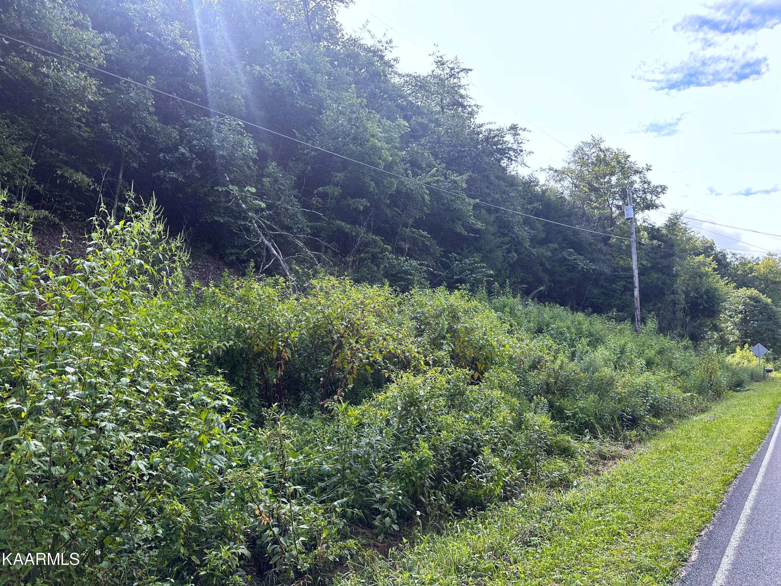 2128 Holt Town Rd Property Photo 5