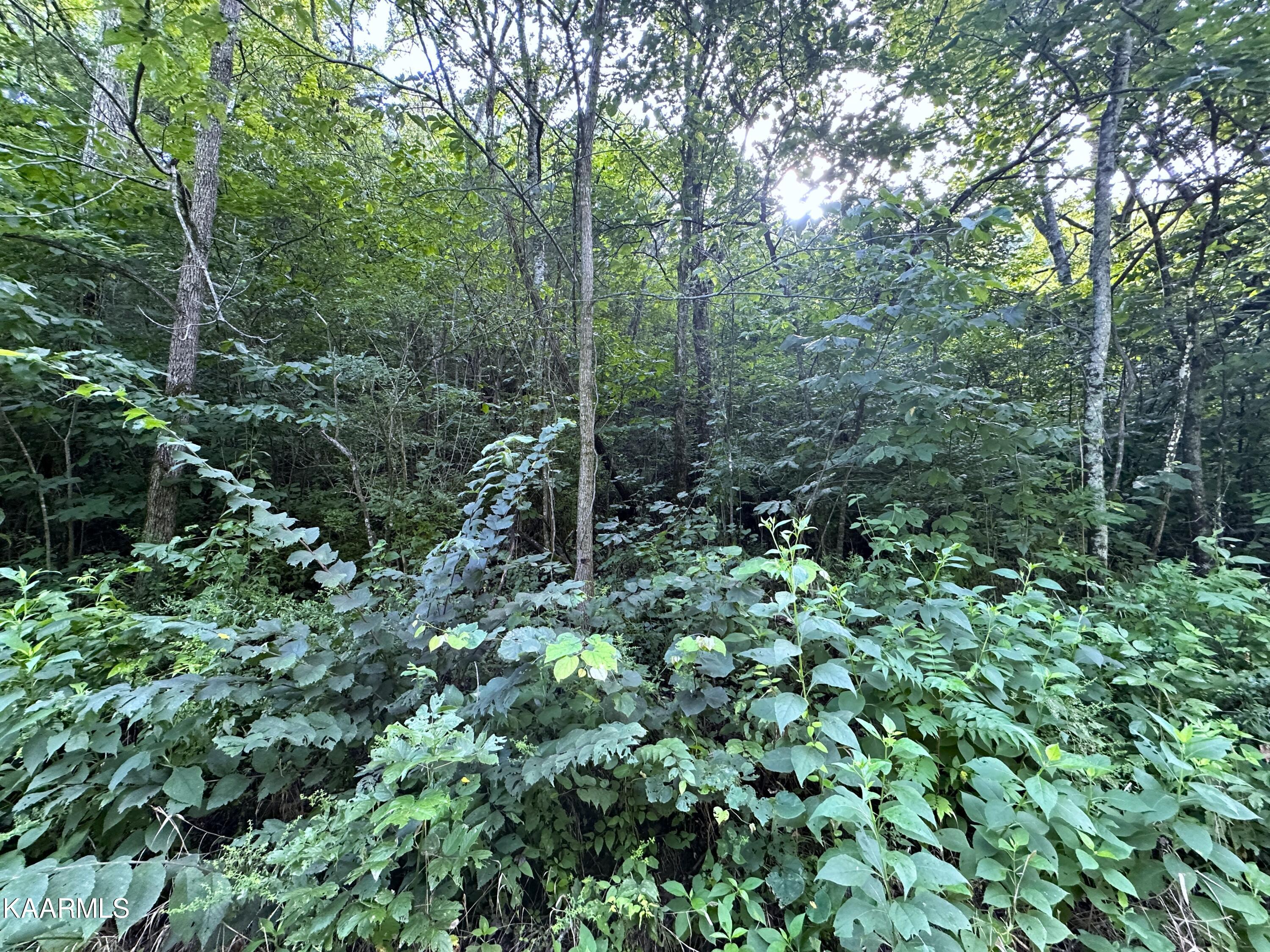 2128 Holt Town Rd Property Photo 6