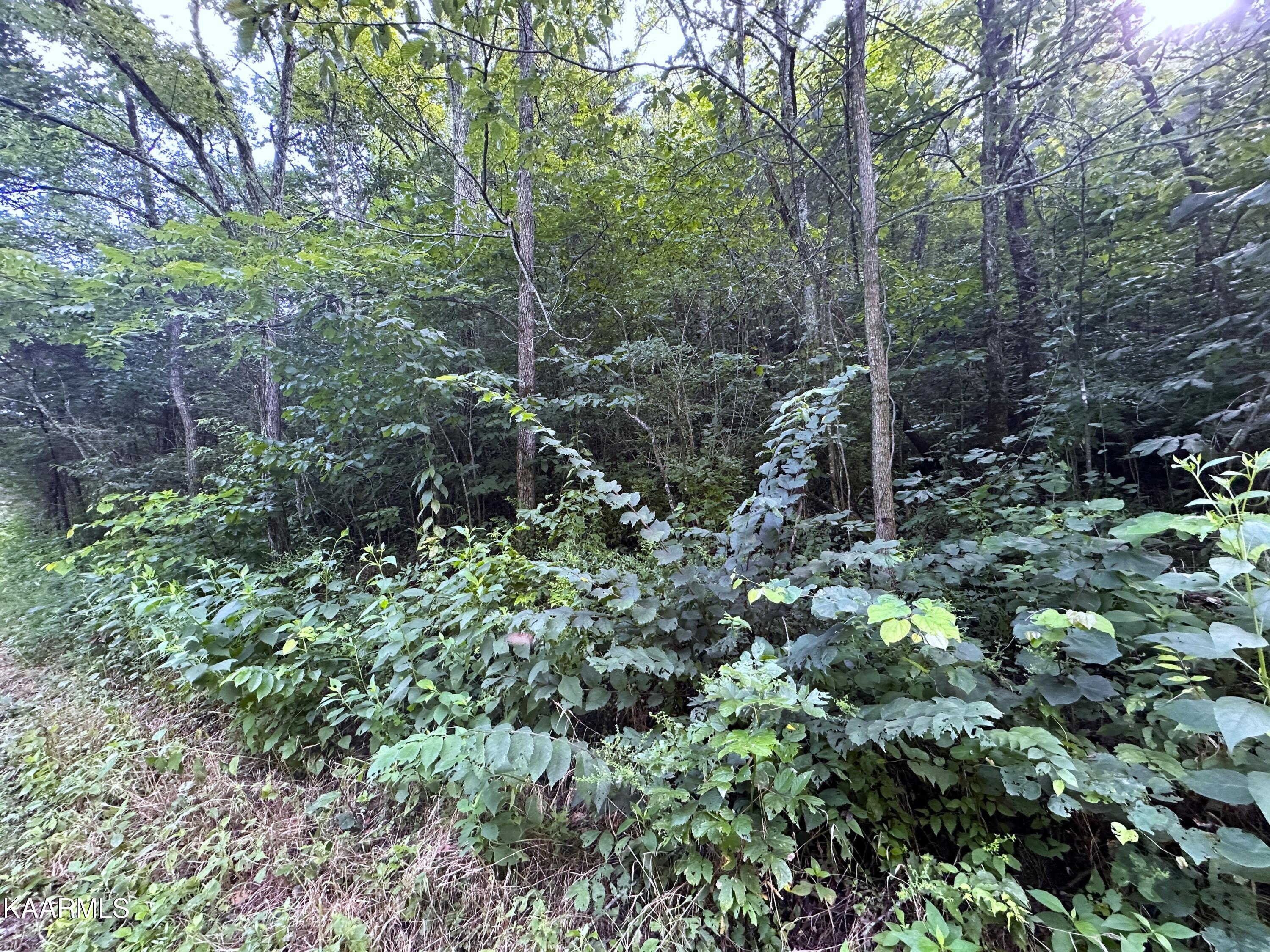 2128 Holt Town Rd Property Photo 7