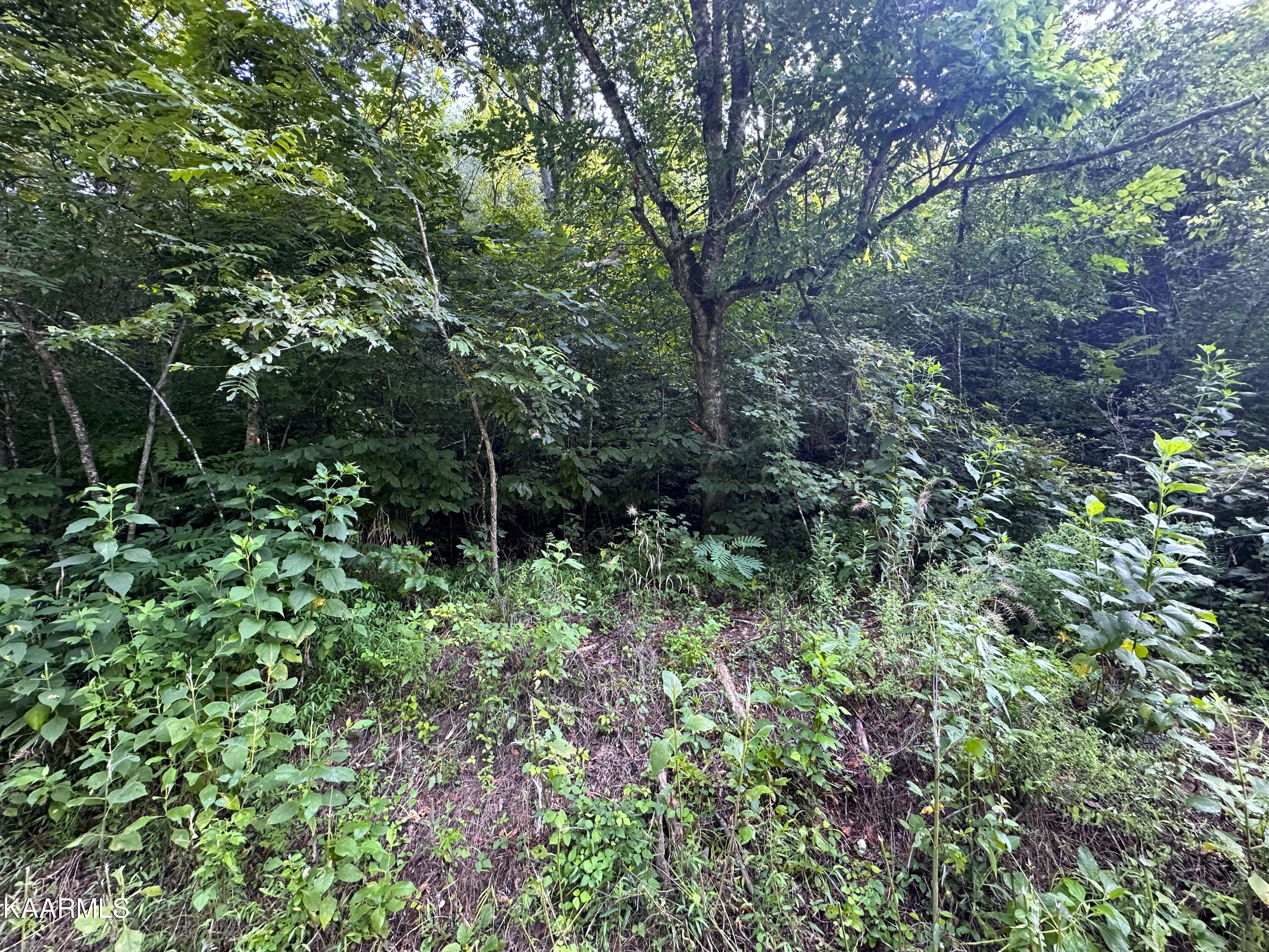 2128 Holt Town Rd Property Photo 8