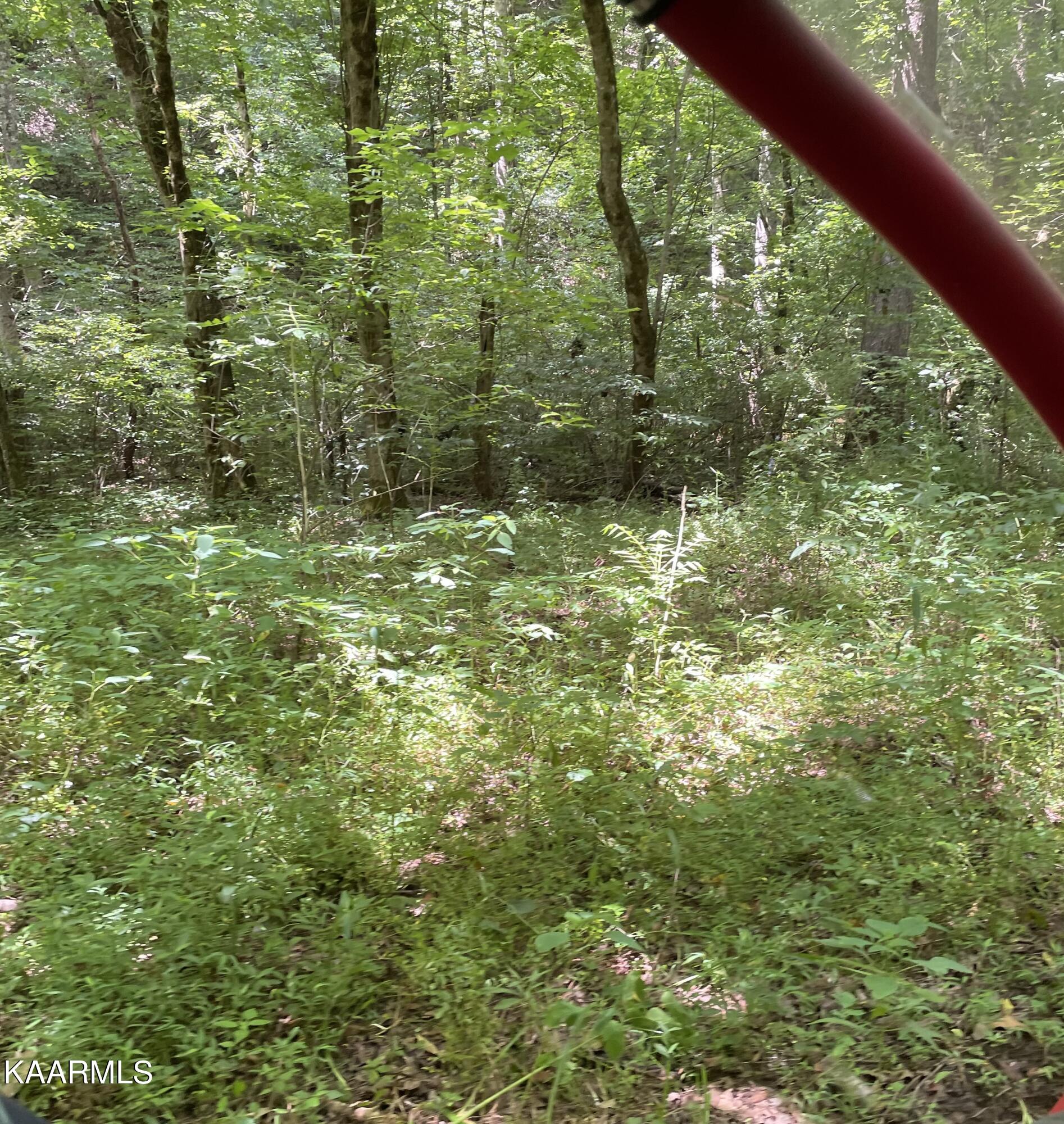 Tbd Scenic River Rd Property Photo 2