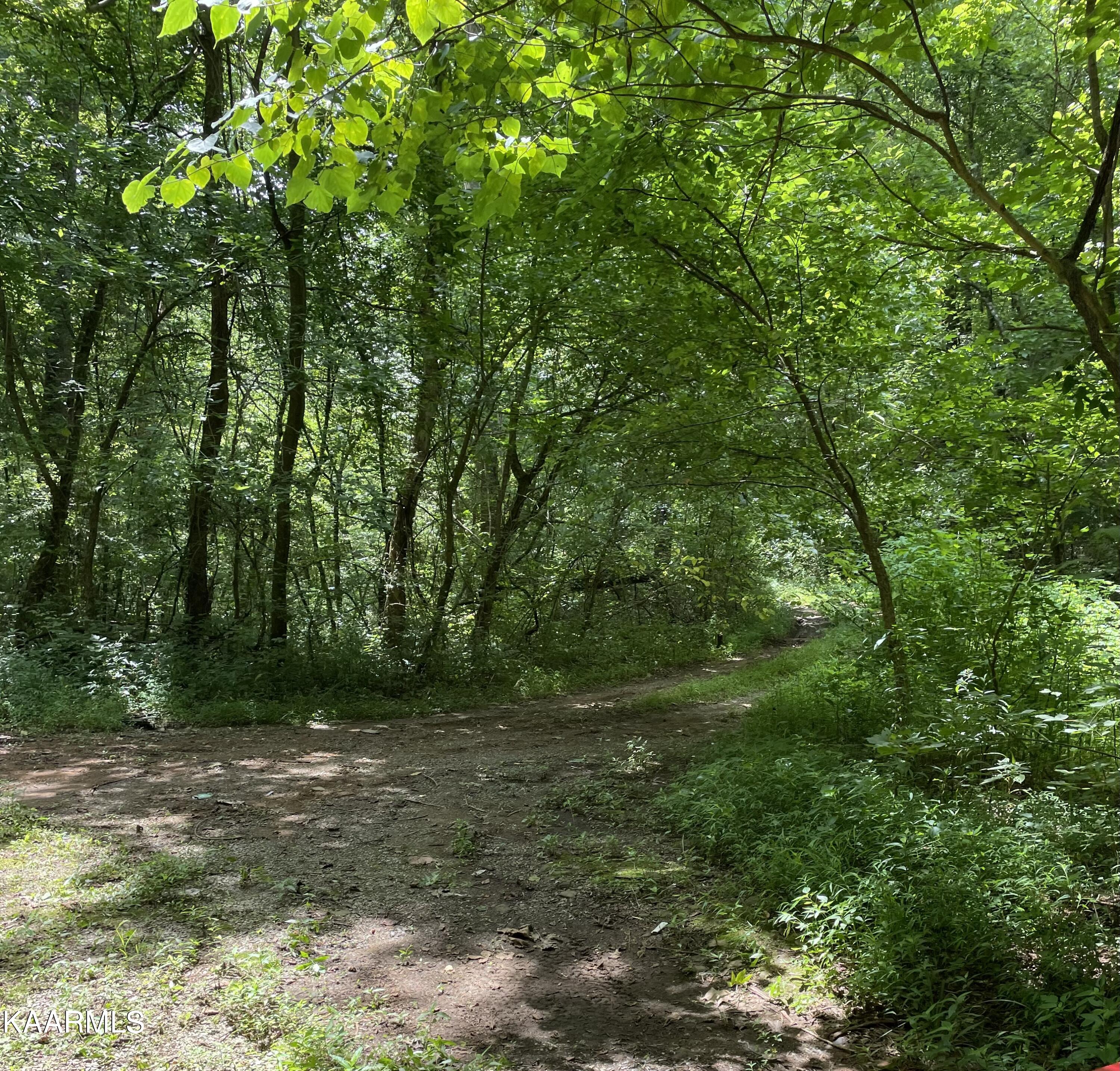 Tbd Scenic River Rd Property Photo 4