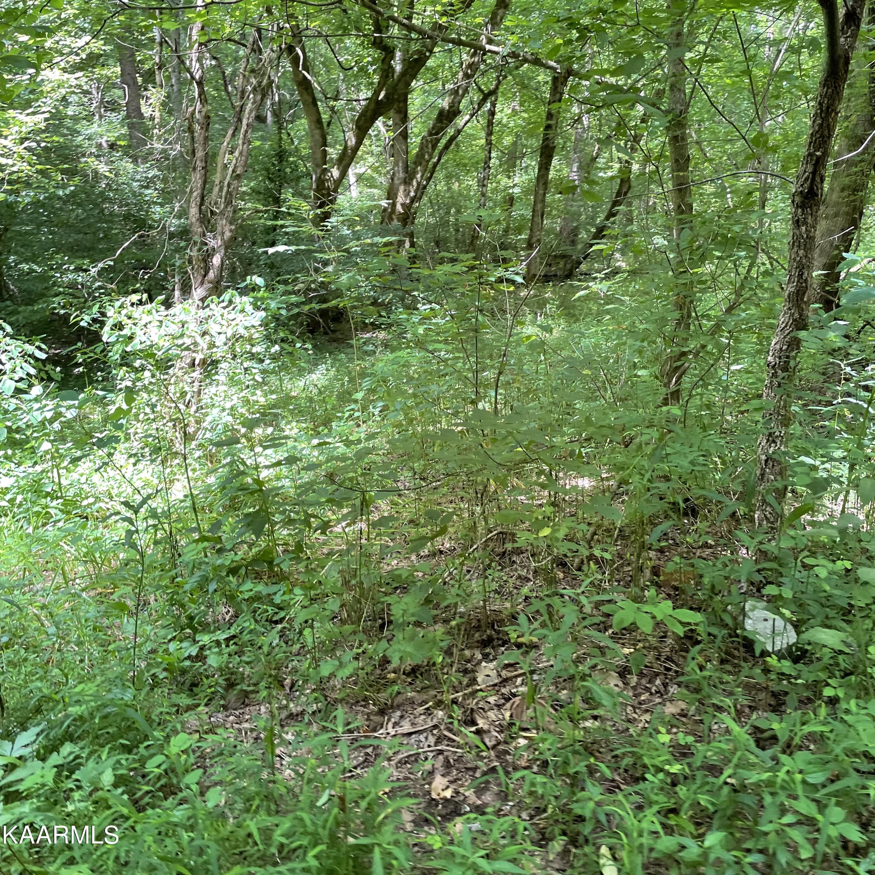 Tbd Scenic River Rd Property Photo 5
