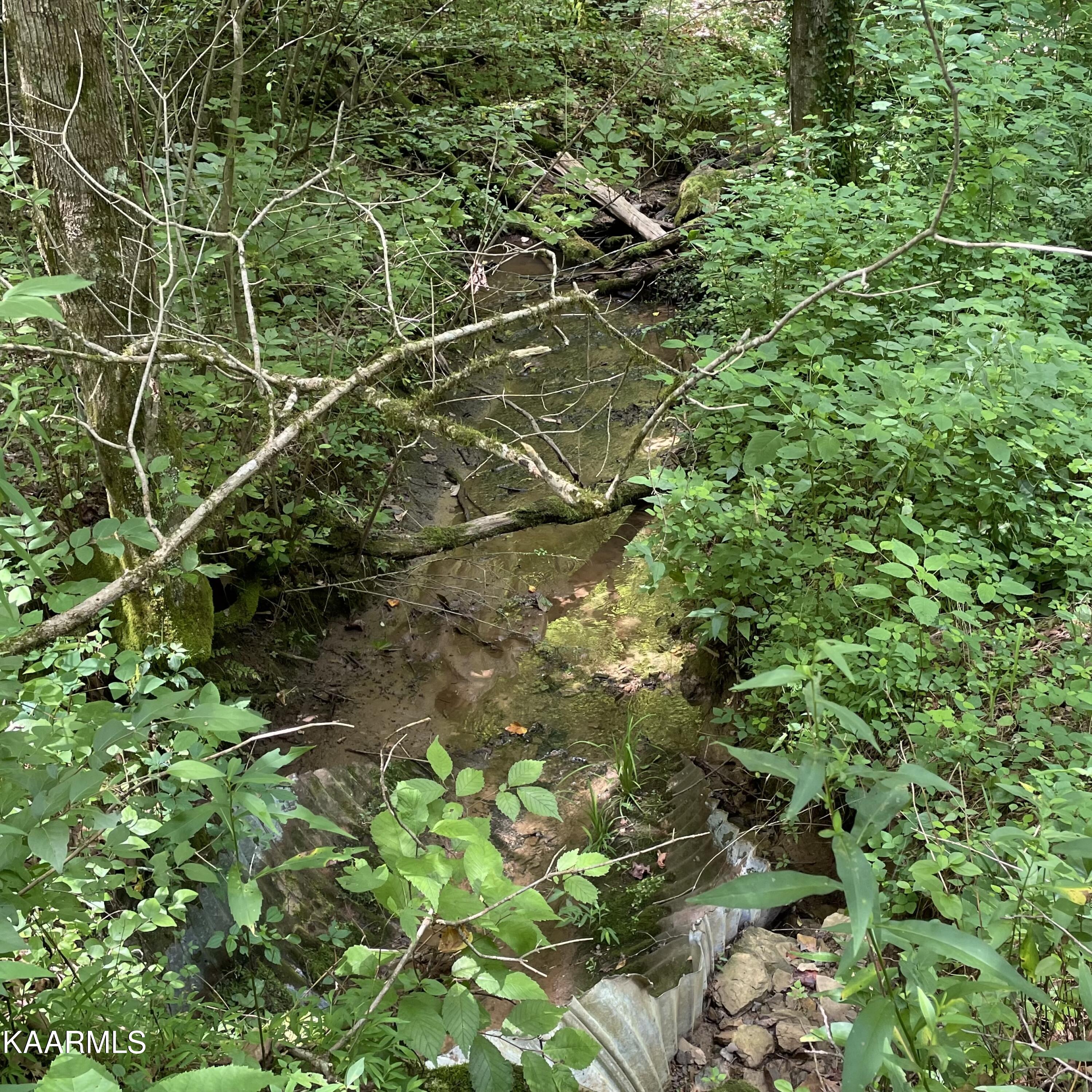 Tbd Scenic River Rd Property Photo 7