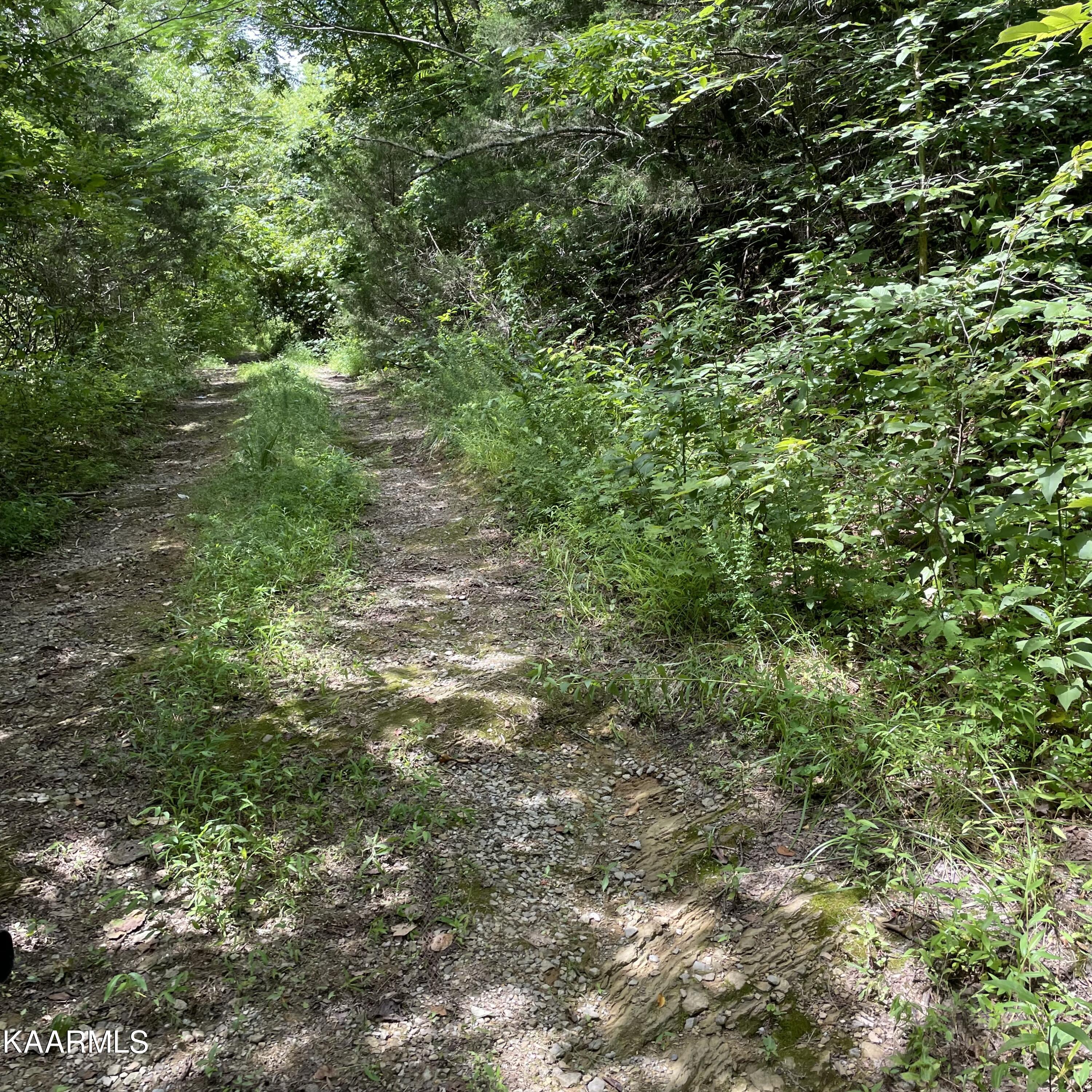 Tbd Scenic River Rd Property Photo 9