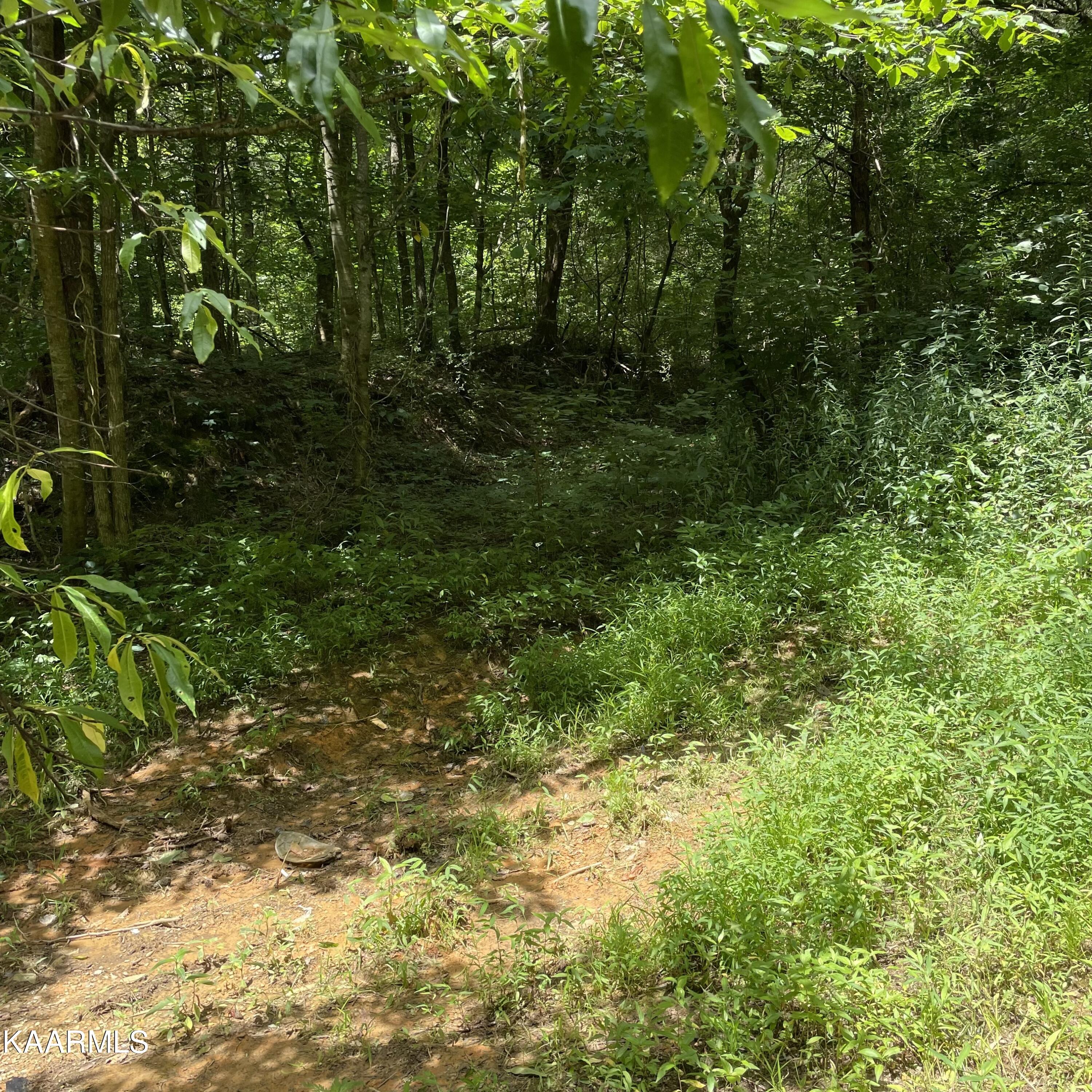 Tbd Scenic River Rd Property Photo 10