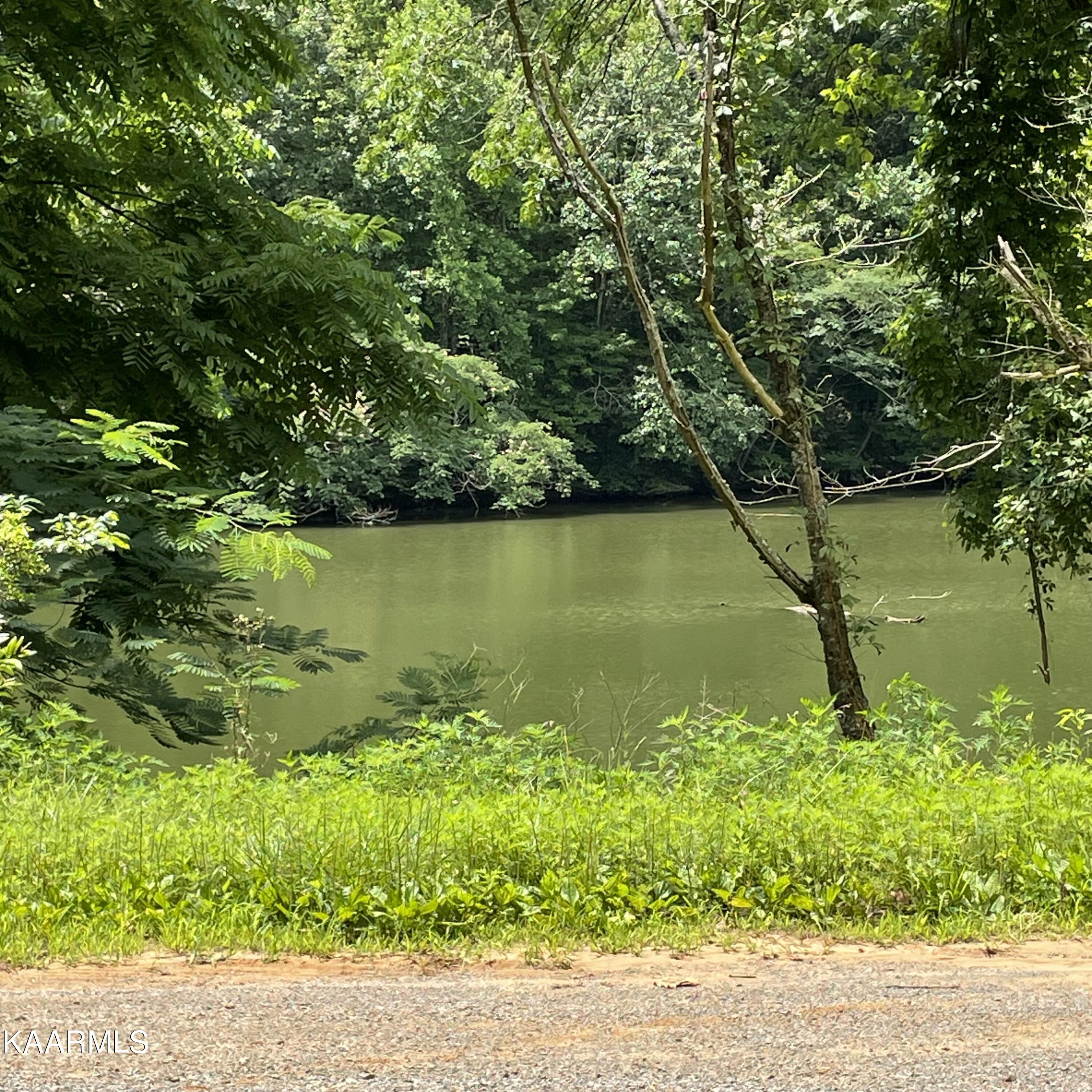 Tbd Scenic River Rd Property Photo 11