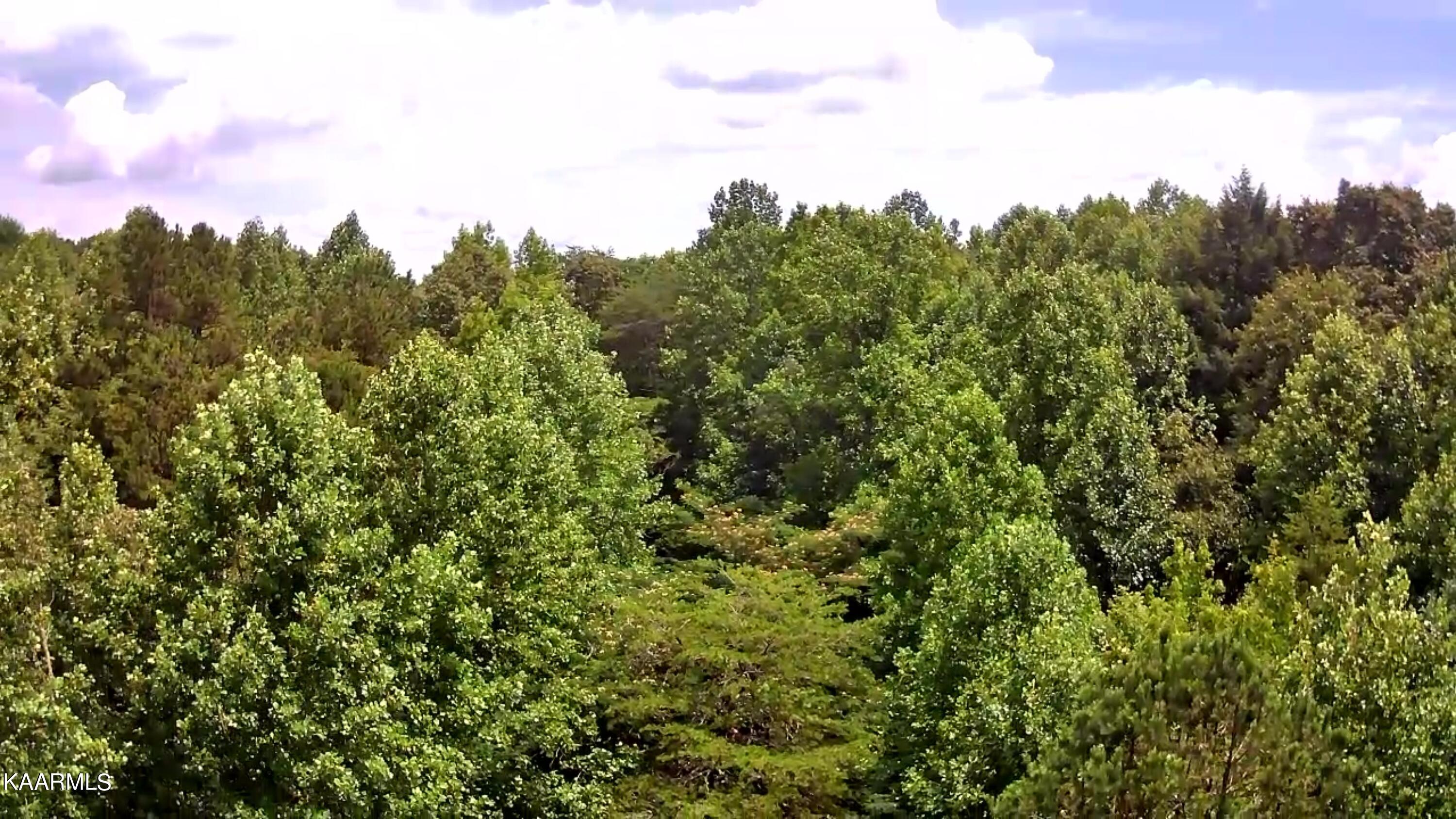 Tbd Scenic River Rd Property Photo 12