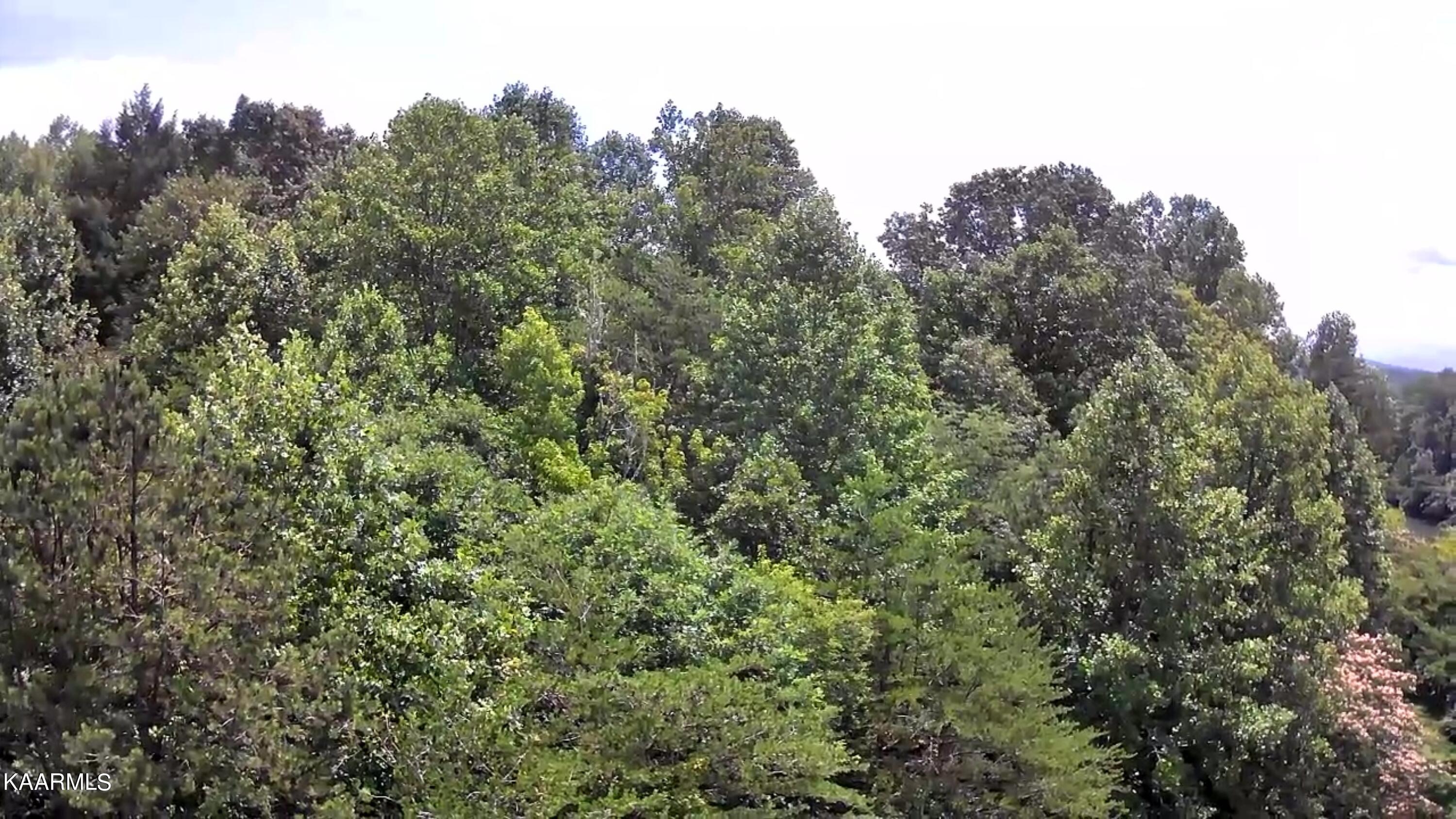 Tbd Scenic River Rd Property Photo 13