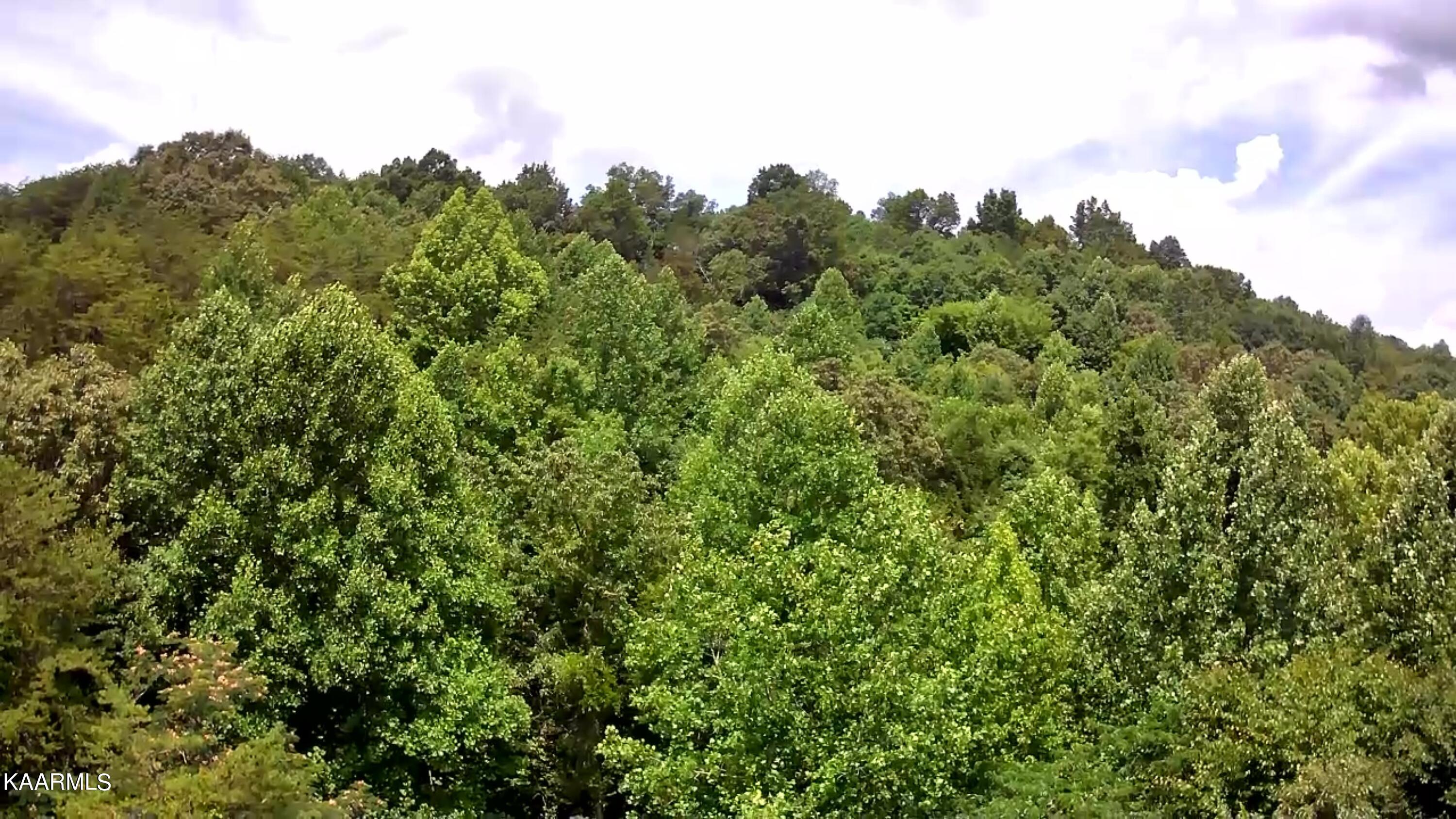 Tbd Scenic River Rd Property Photo 15