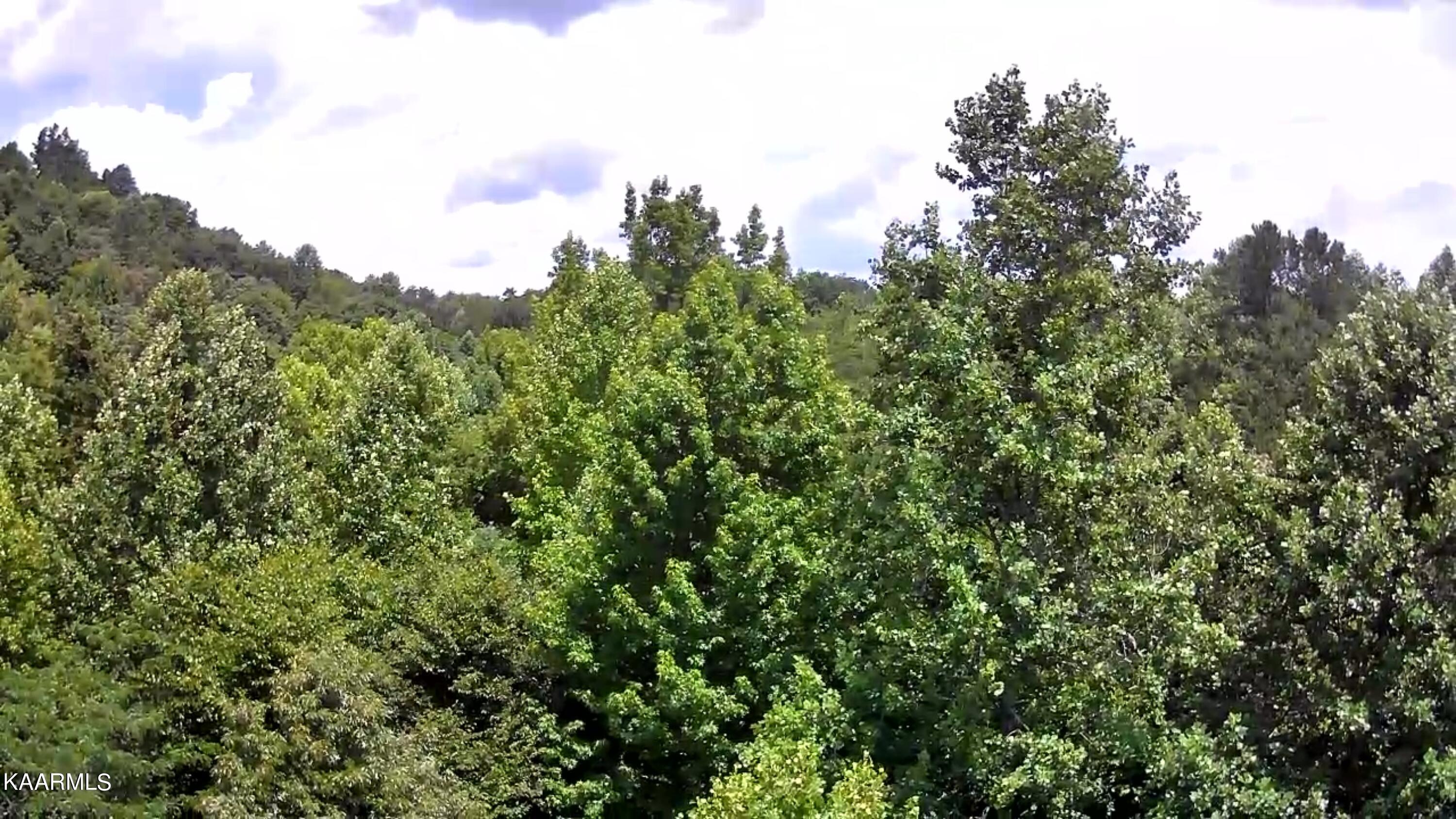 Tbd Scenic River Rd Property Photo 16