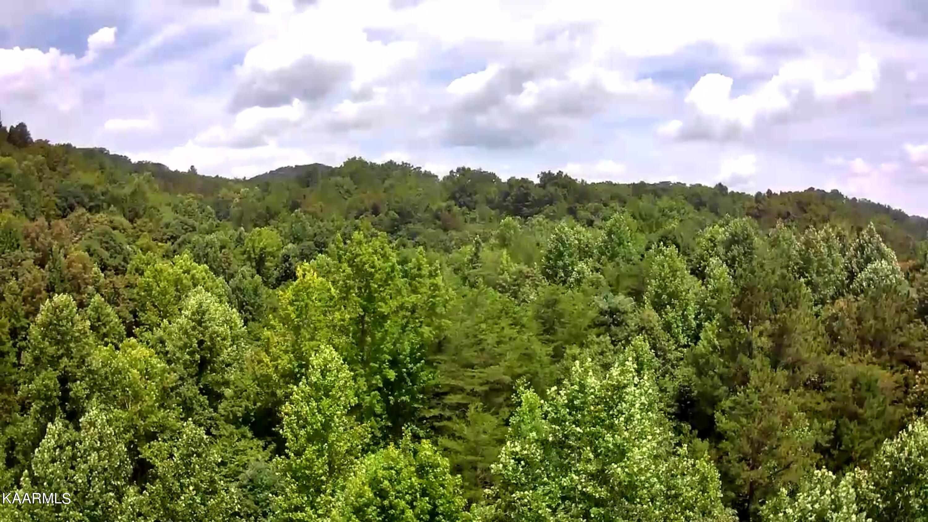 Tbd Scenic River Rd Property Photo 17