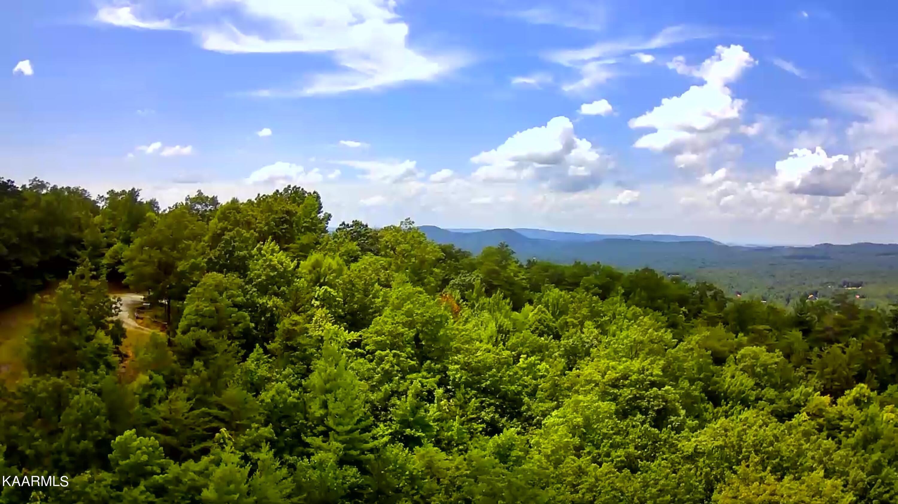 Tbd Scenic River Rd Property Photo 22