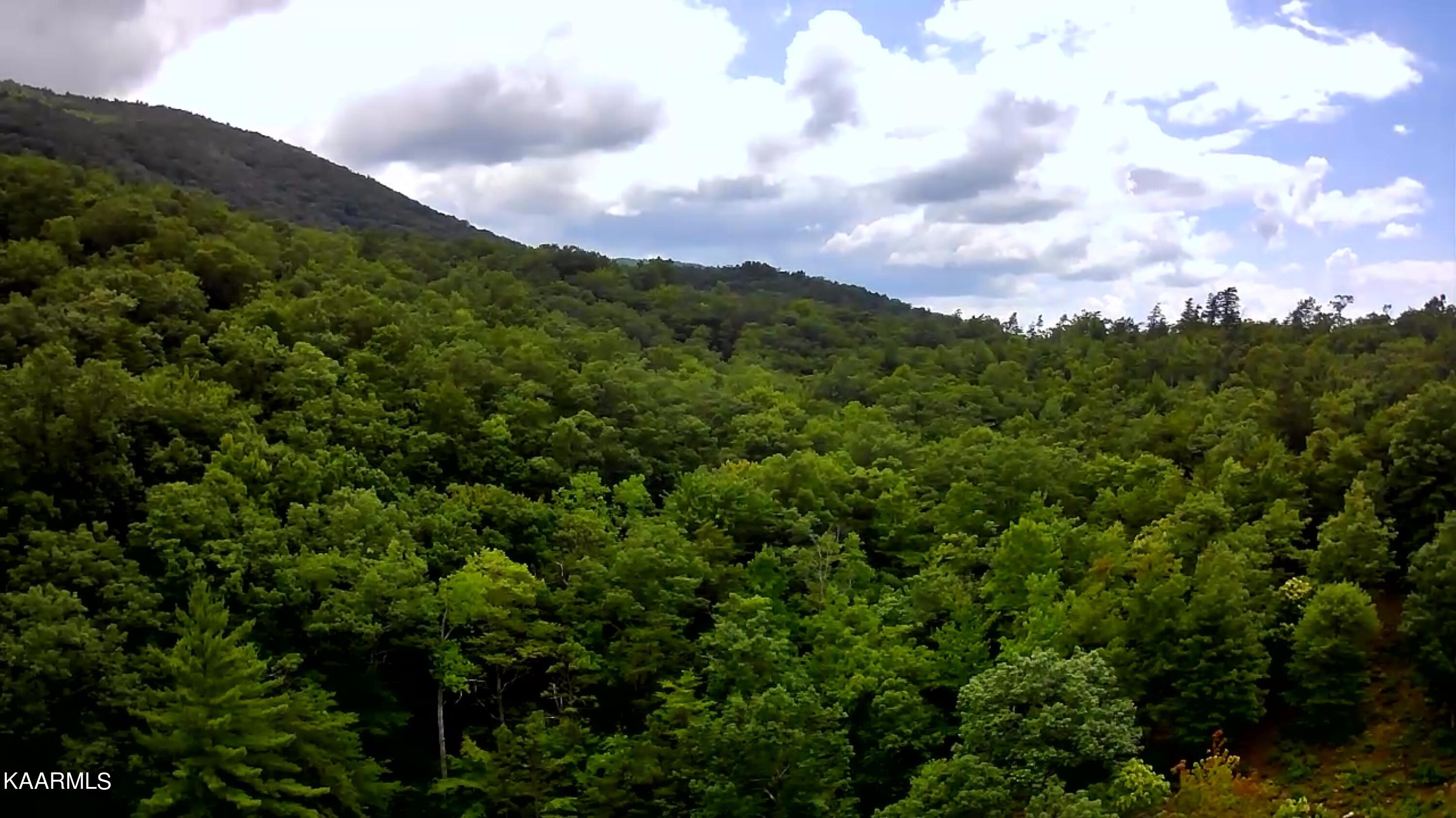 Tbd Scenic River Rd Property Photo 23