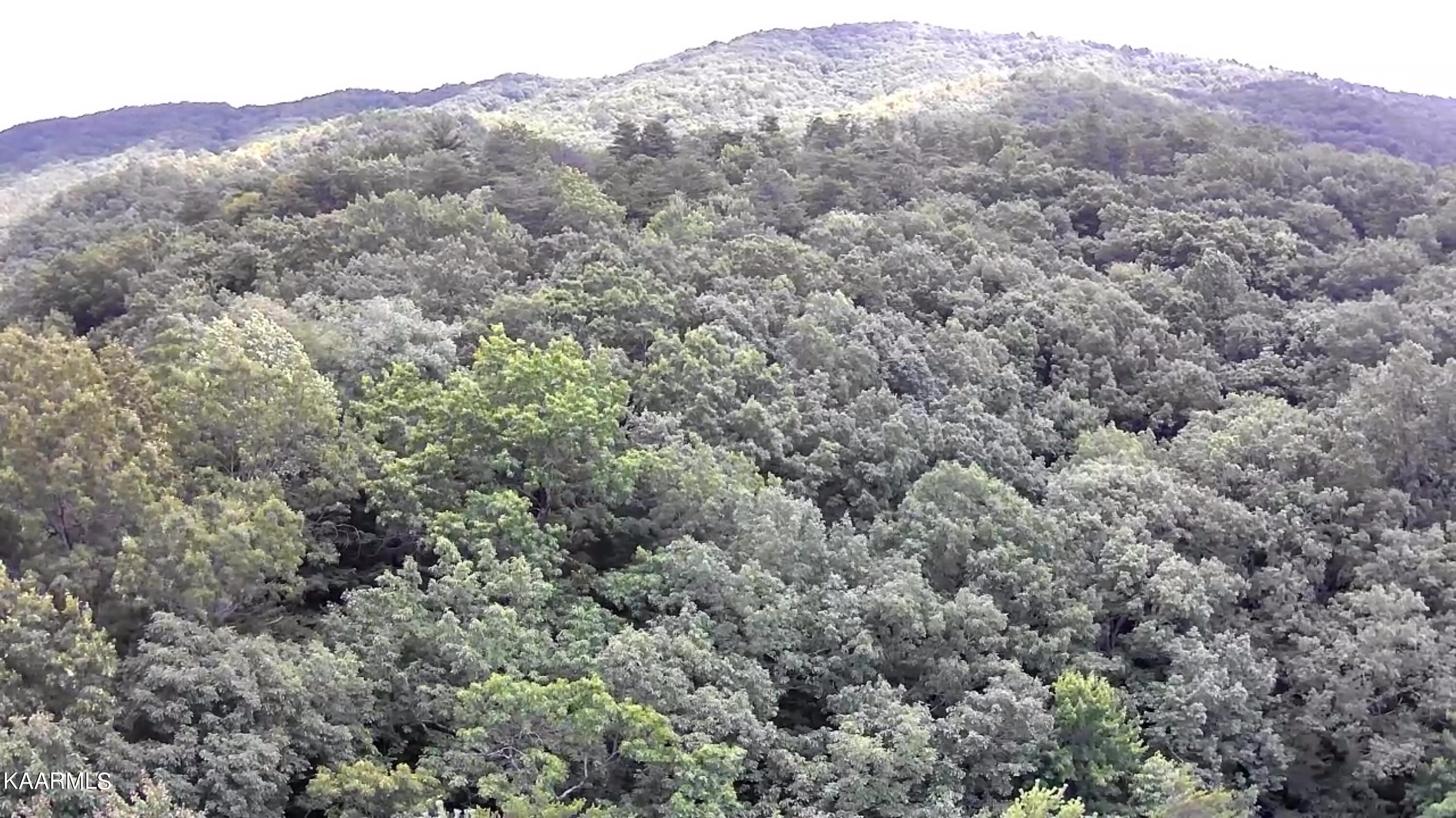 Tbd Scenic River Rd Property Photo 24