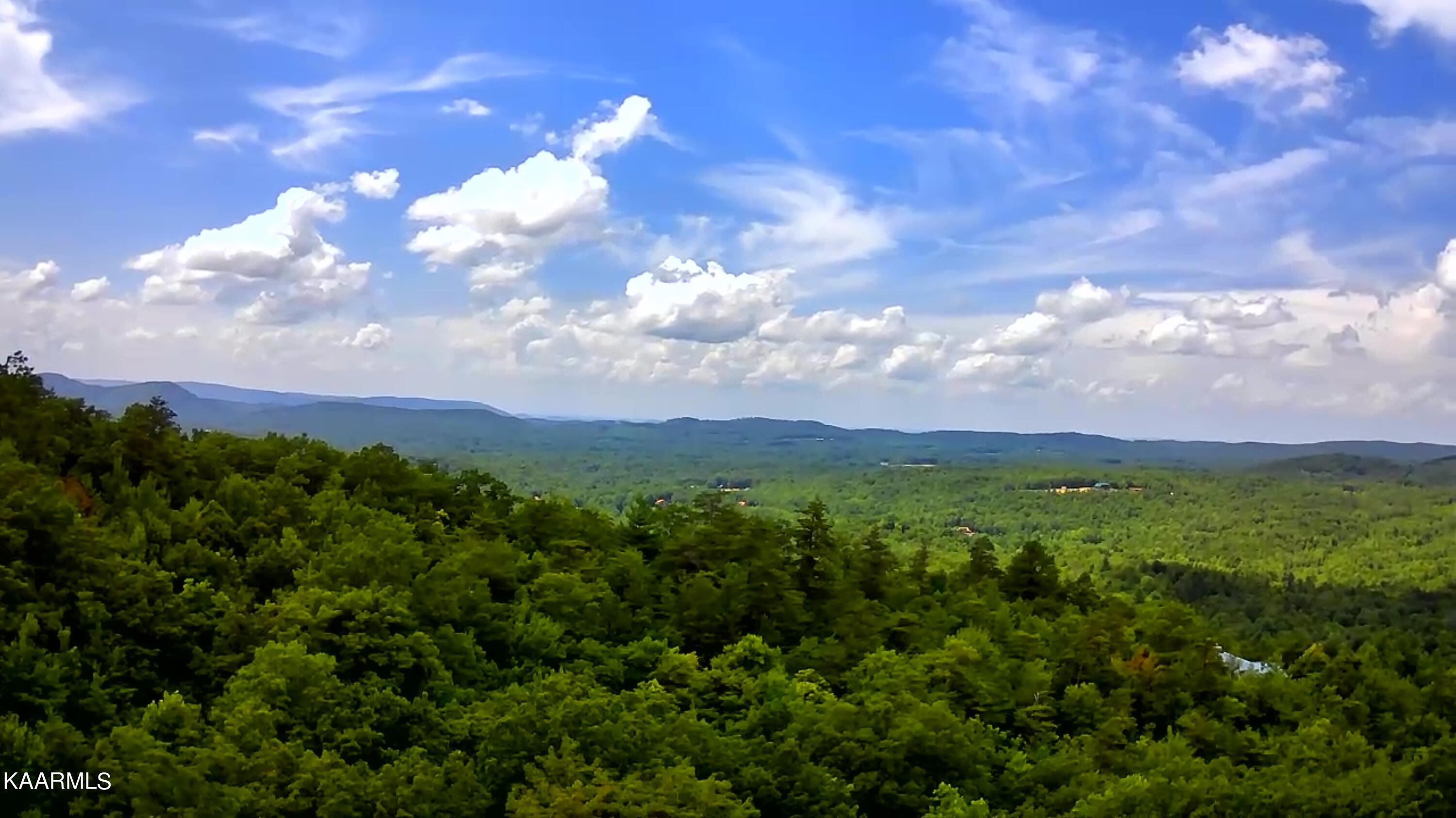 Tbd Scenic River Rd Property Photo 25