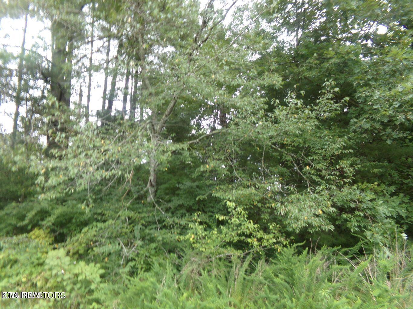 5018 Beaver Rd Property Photo 2