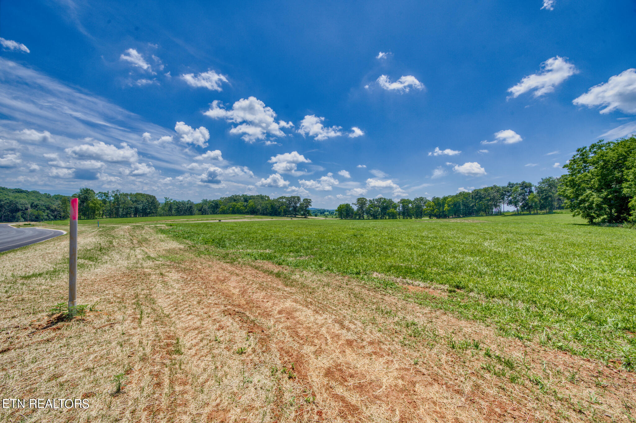 Lot19 1008 Sophie Drive Property Photo 4