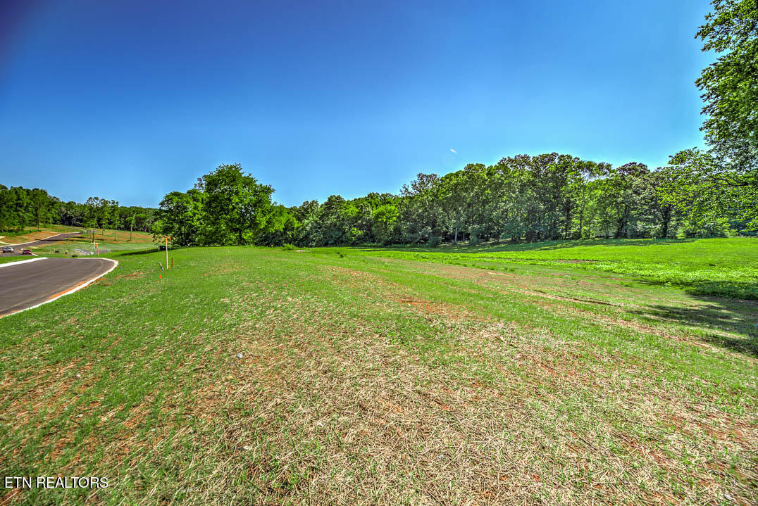 Lot19 1008 Sophie Drive Property Photo 5