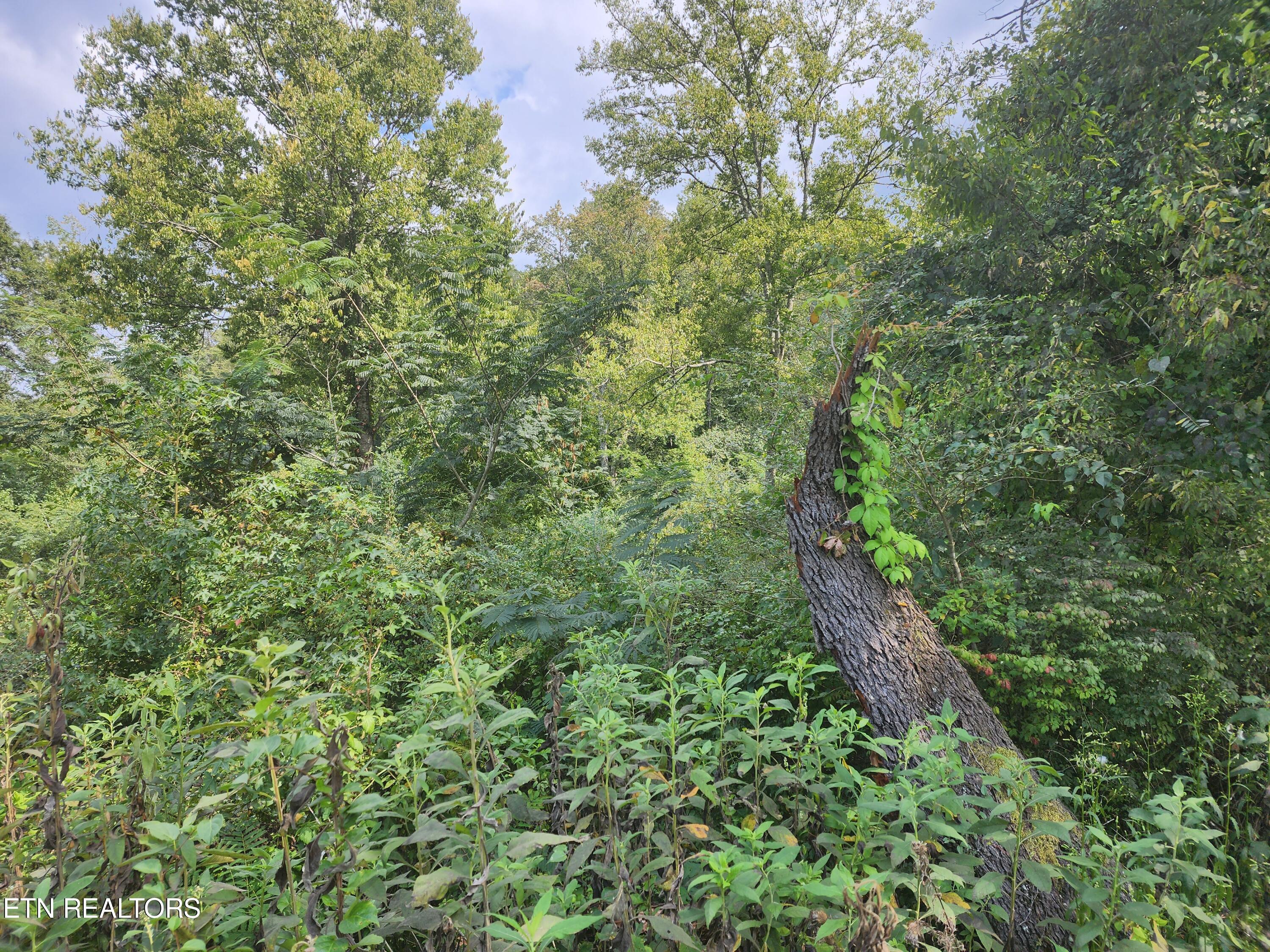 25.2 Acres Spring City Highway Property Photo