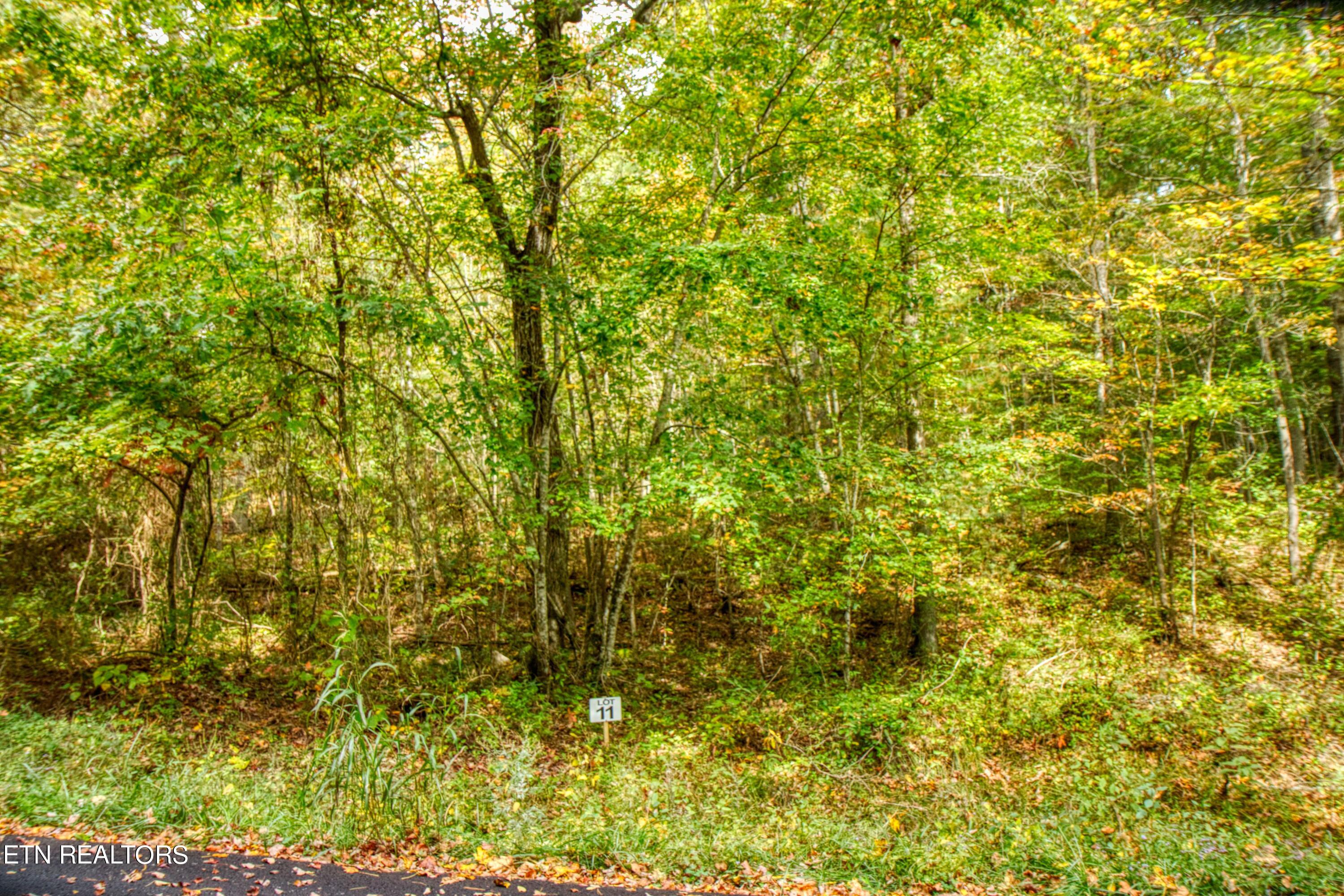 Lot 11 Old Mount Helen Rd Property Photo