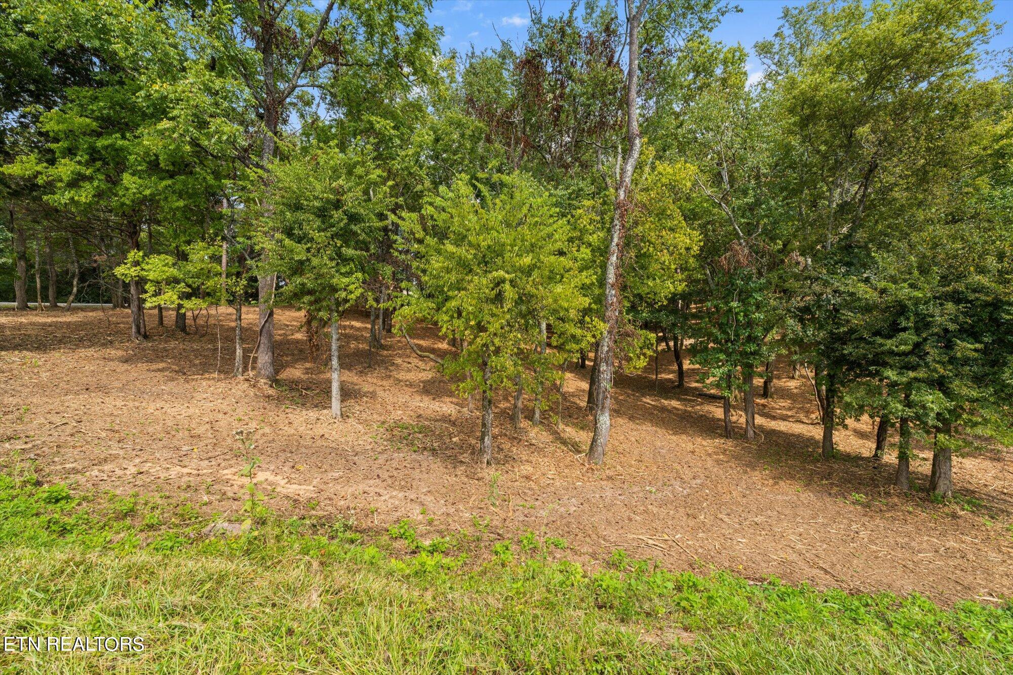 Lot #3 Beals Chapel Rd Property Photo 10