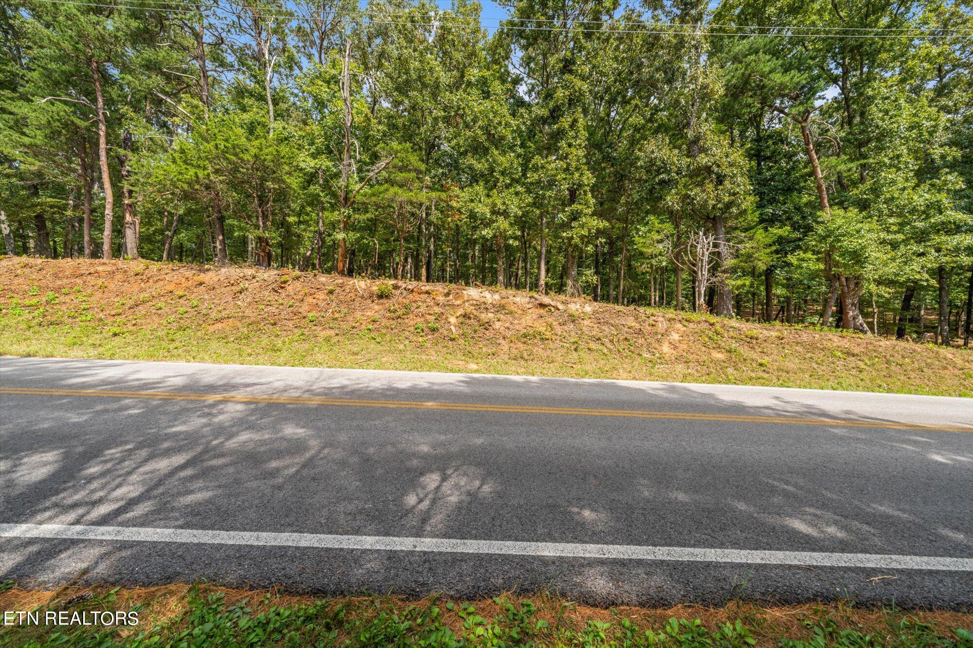 Lot #3 Beals Chapel Rd Property Photo 11