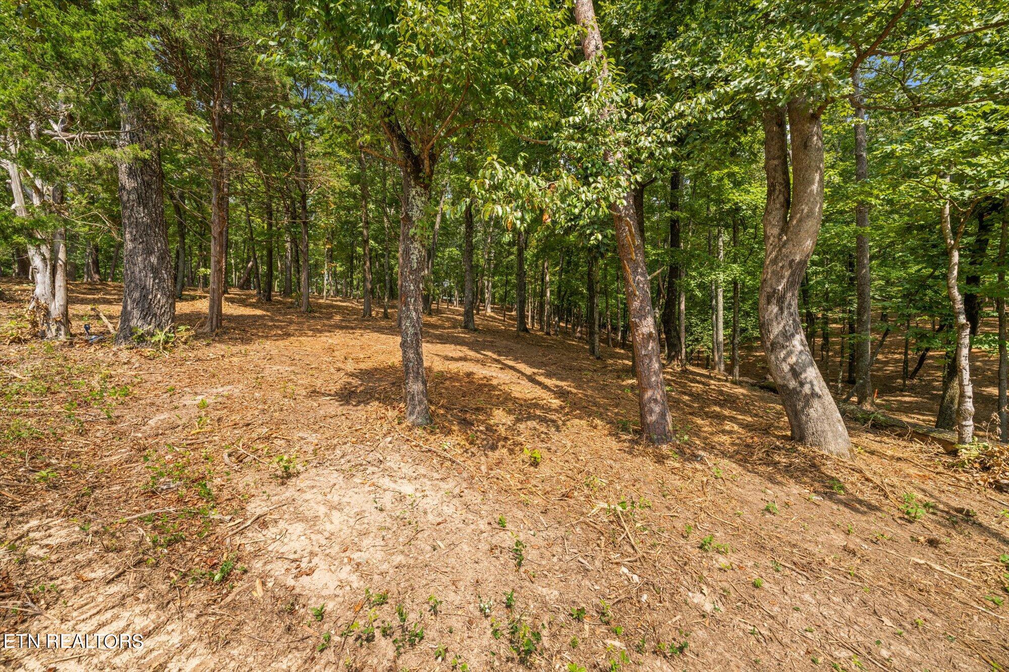 Lot #3 Beals Chapel Rd Property Photo 12