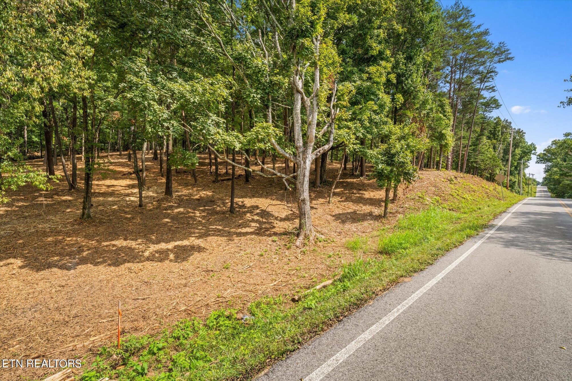 Lot #3 Beals Chapel Rd Property Photo 13