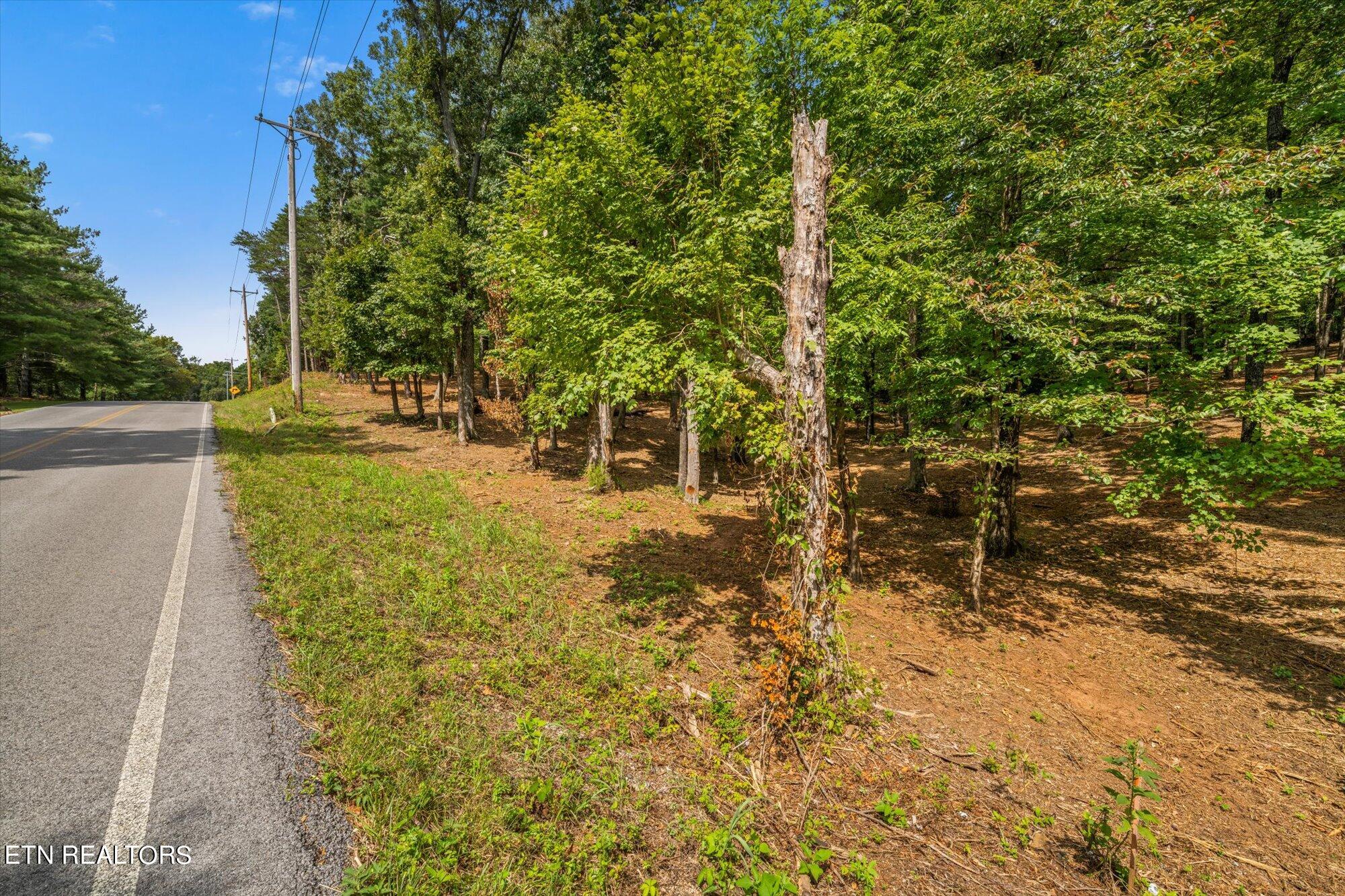 Lot #3 Beals Chapel Rd Property Photo 14