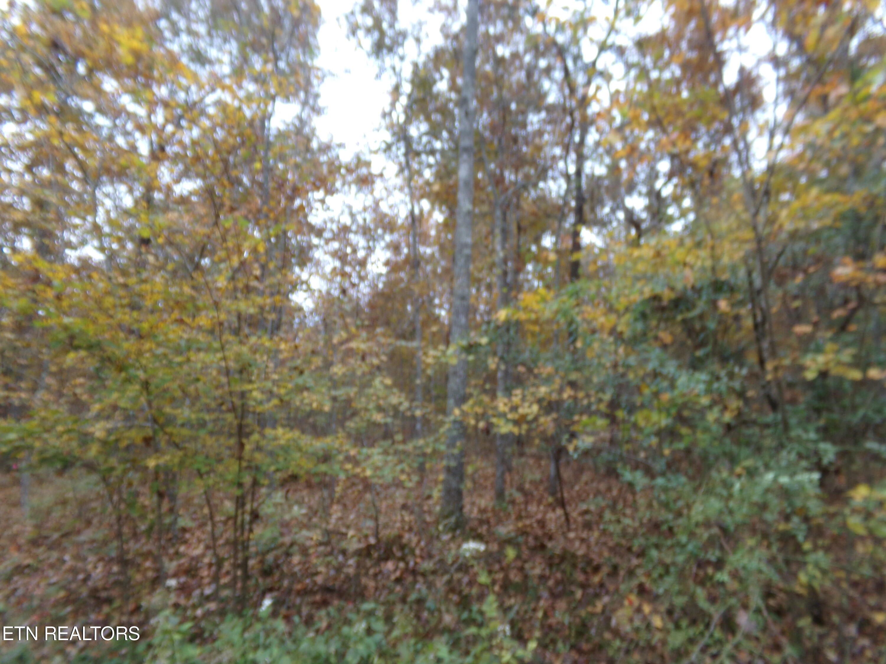 1017 Hileah Drive Property Photo 1