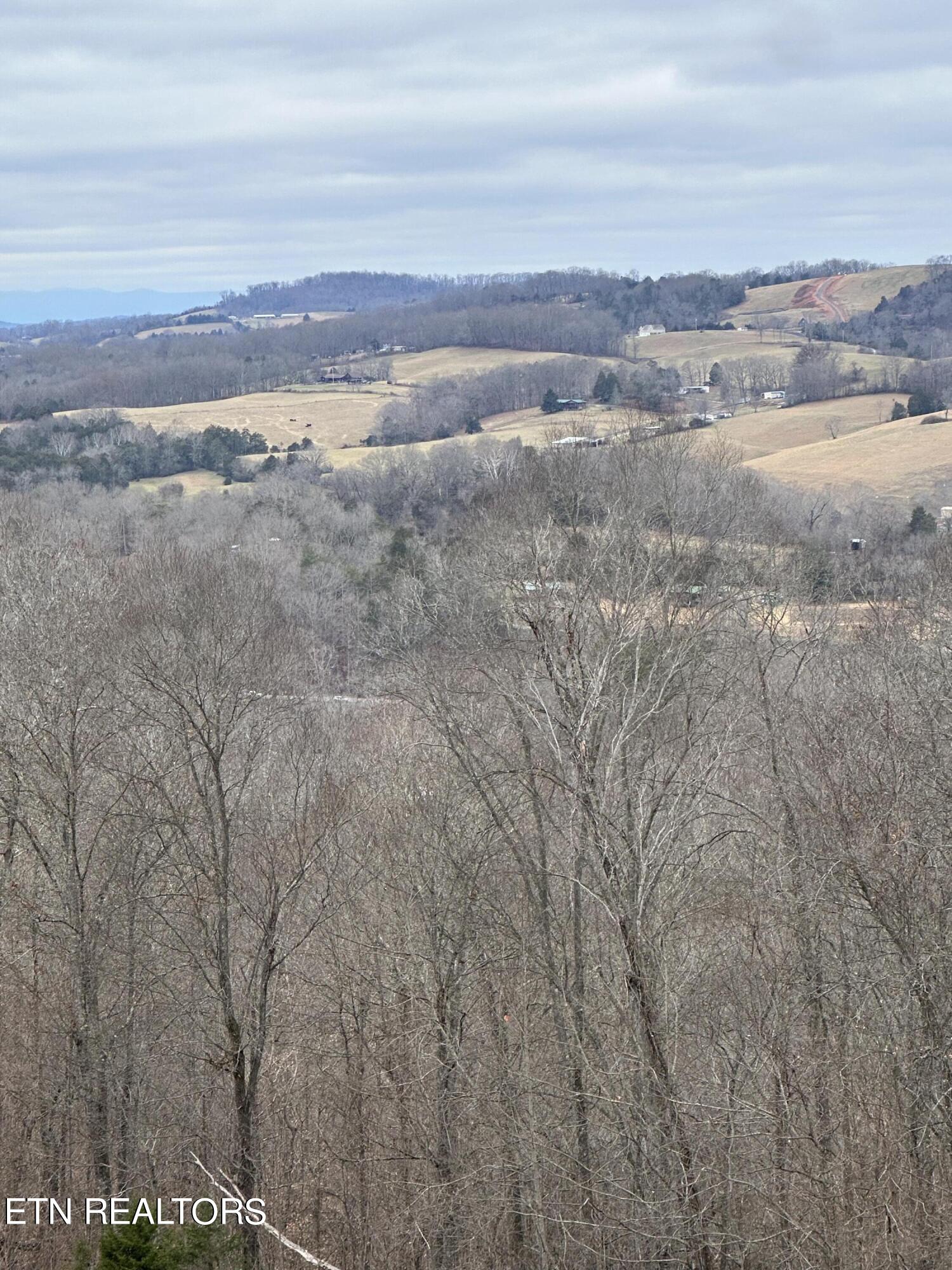 L-265 Marble Point Way Property Photo 5