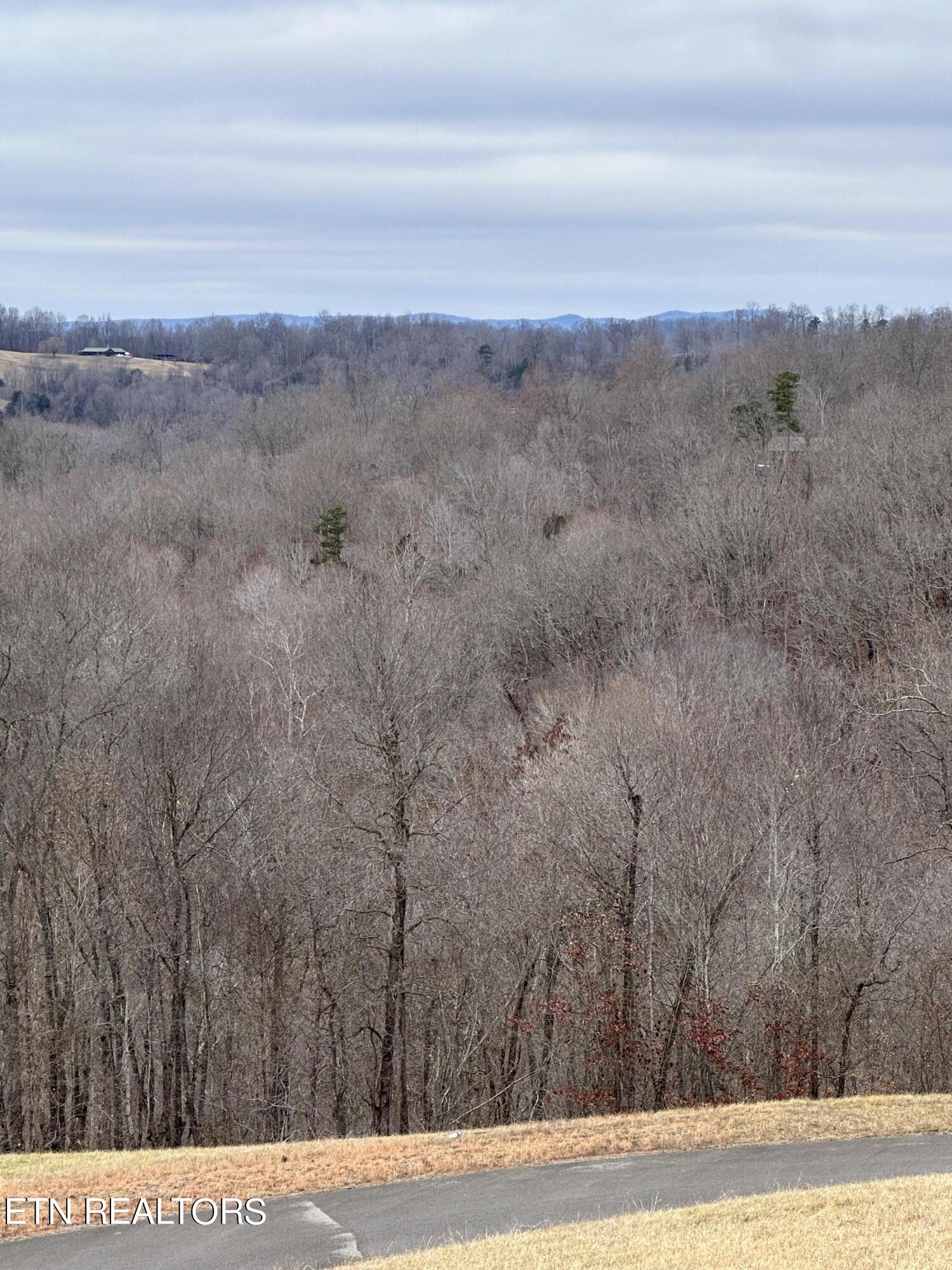 L-265 Marble Point Way Property Photo 6