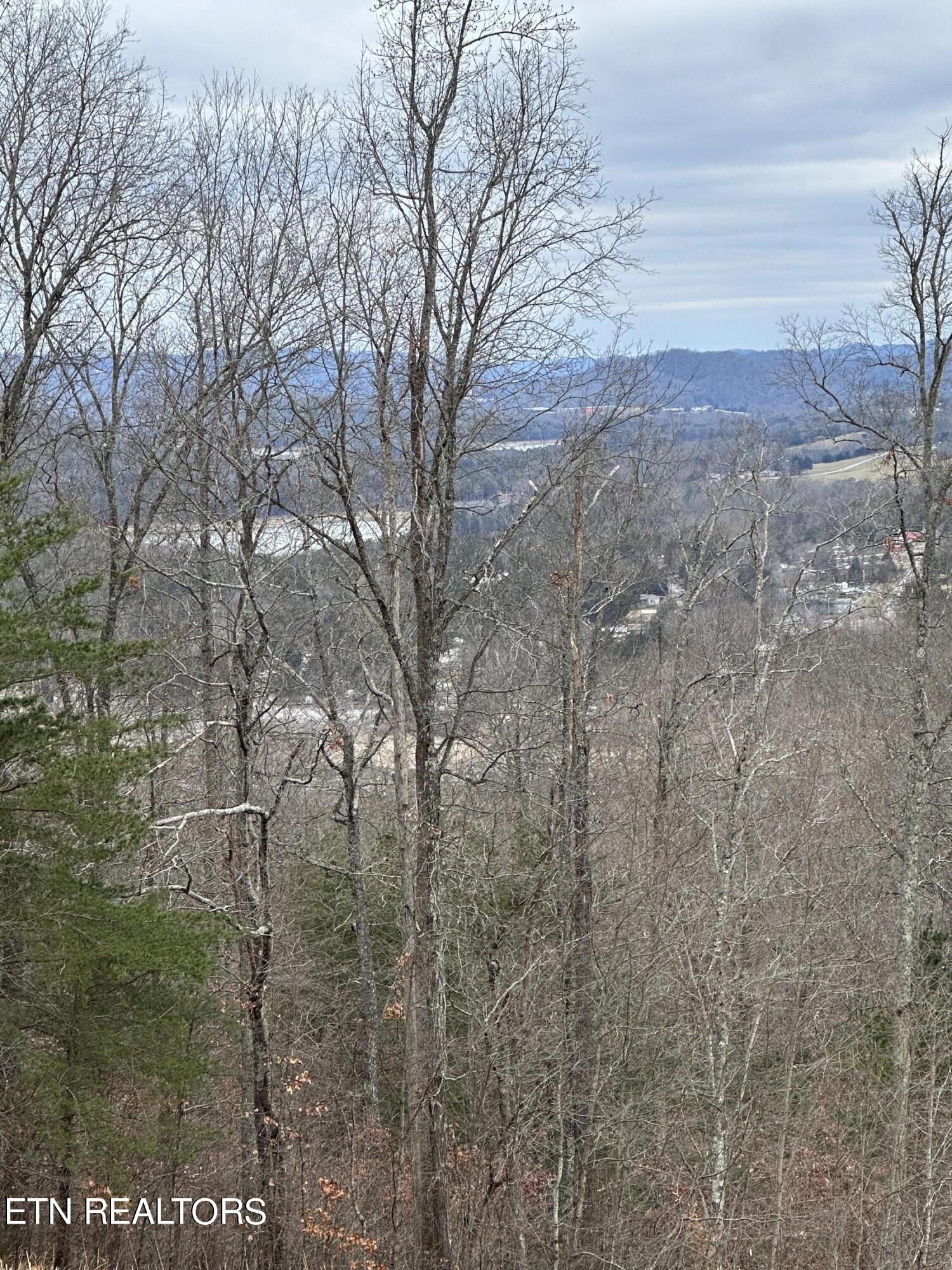 L-265 Marble Point Way Property Photo 11