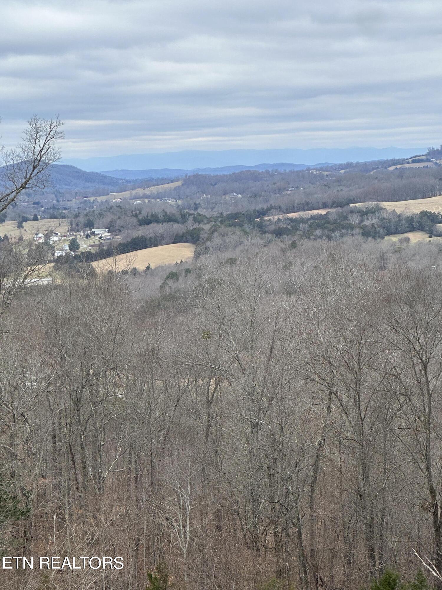 L-265 Marble Point Way Property Photo 12