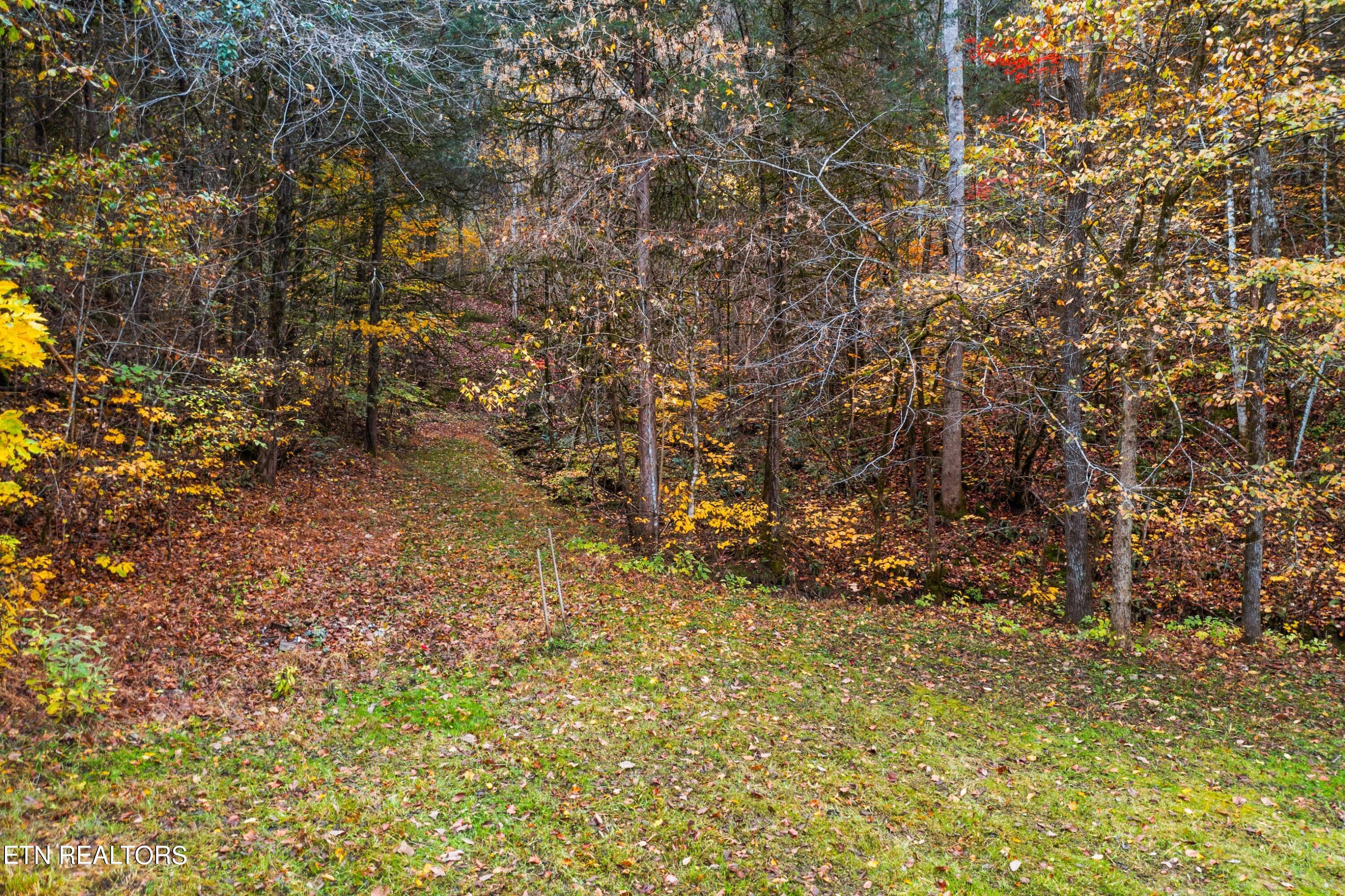 1650 Indian Creek Rd Property Photo 25